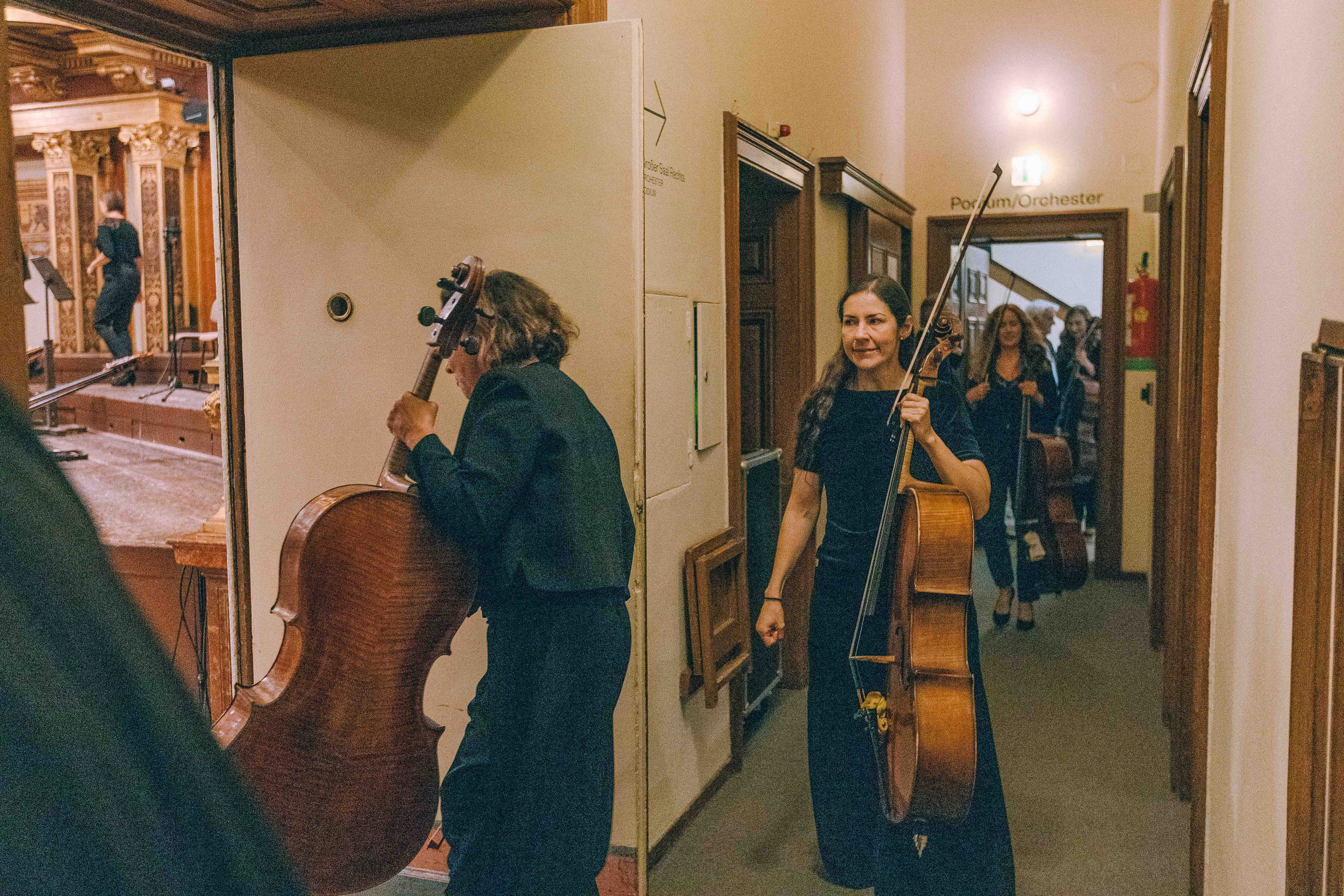 MUSIKVEREIN (VIENNA). Wedding&Event photographer Ismail Rzayev in Baku