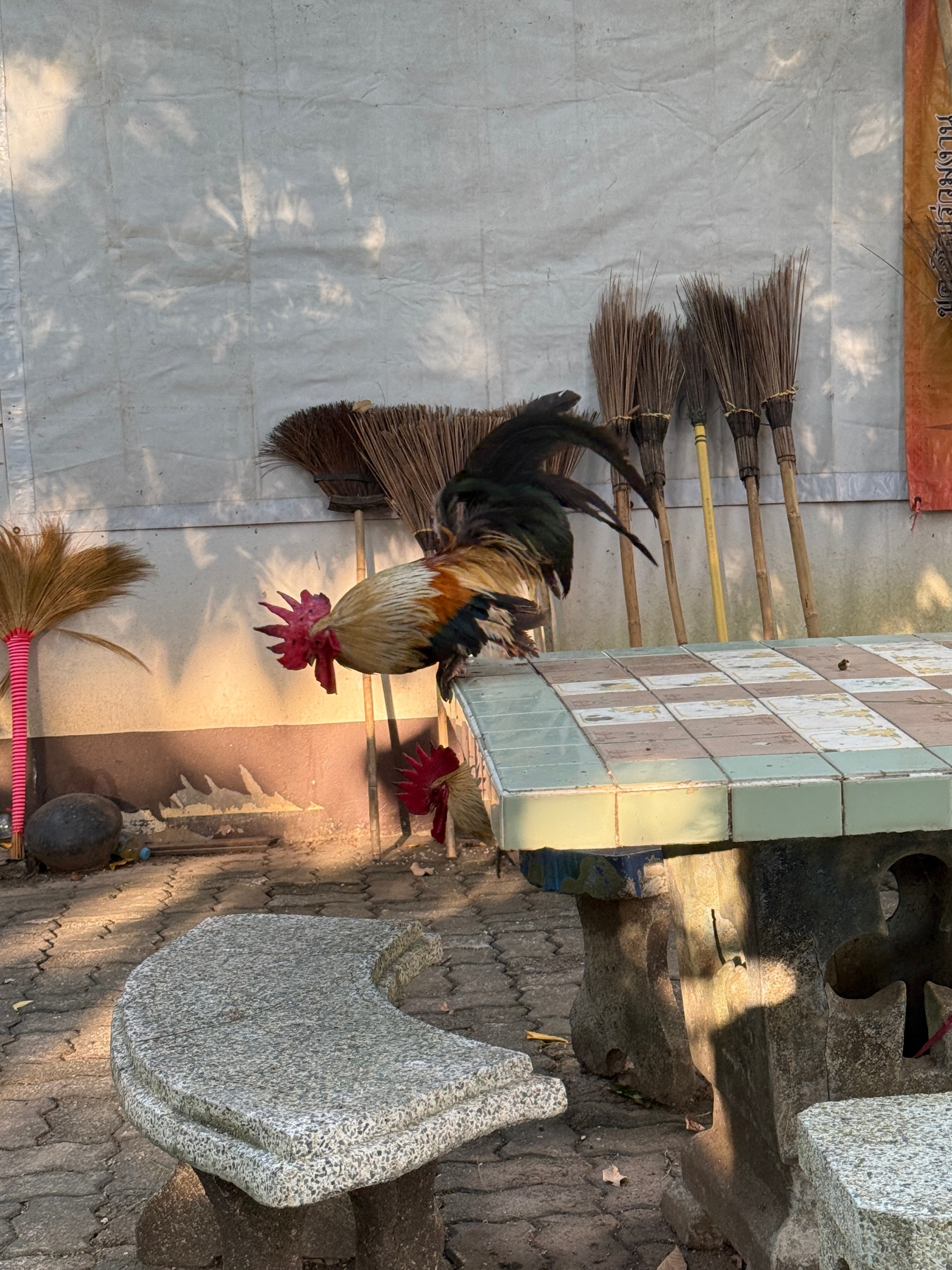 Phuket_2024/2025. Портретный фотограф Алена Новгородцева