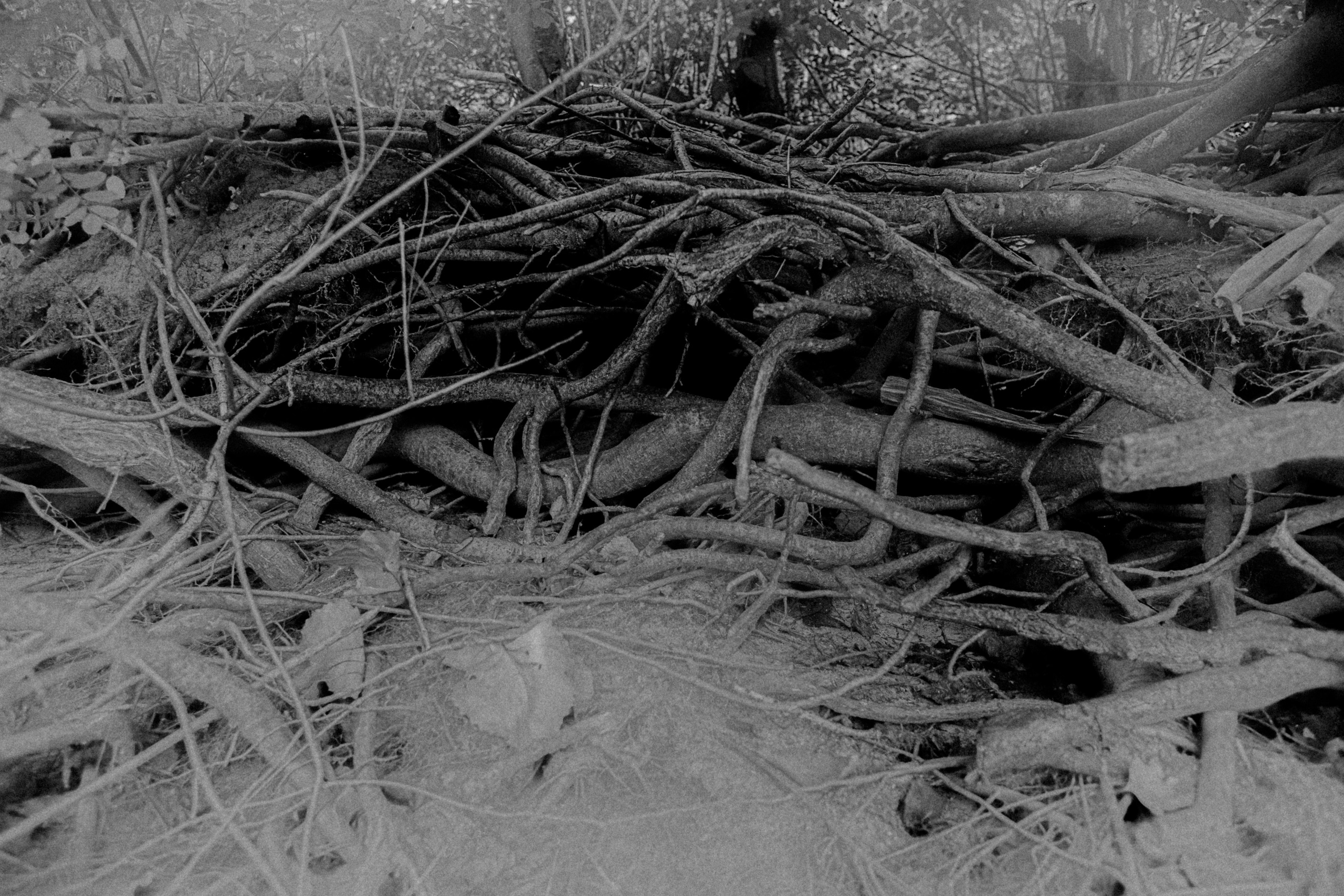 Nothing passes clean when the current enters us. Jana Gertz