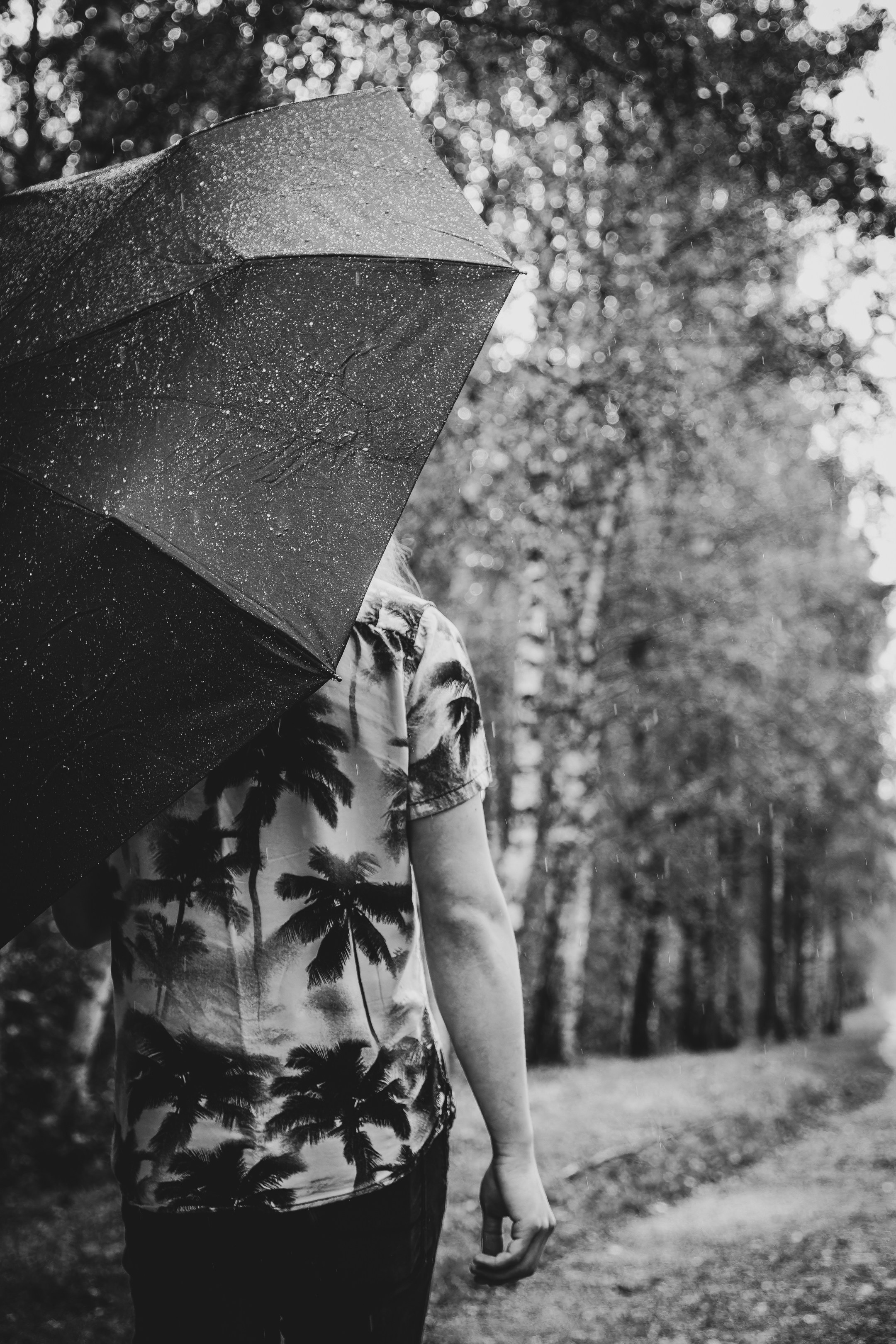 Mets, vihm ja jahedus (Dimitry). Nebula 25 — Fotod teie hingele