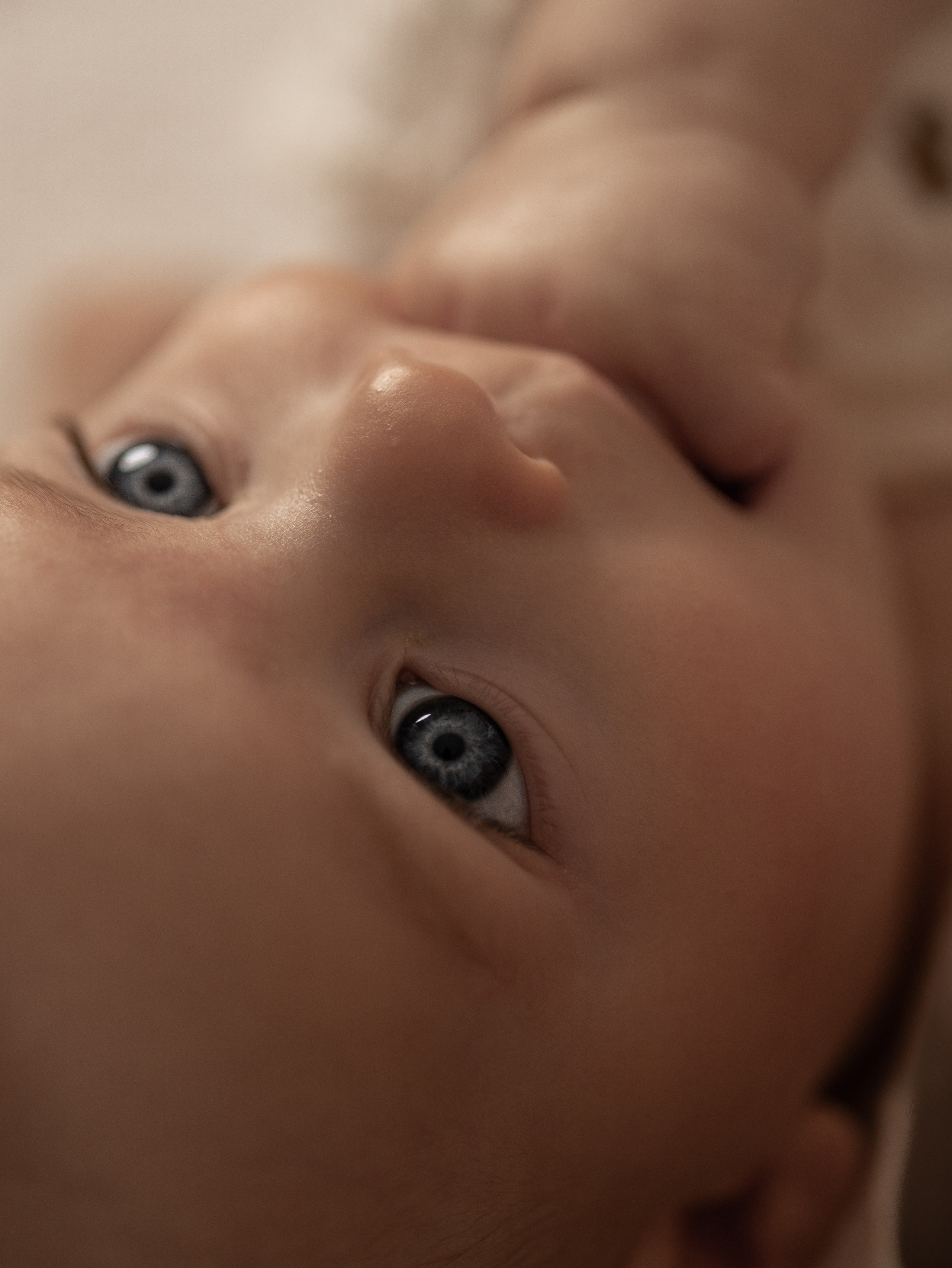 Newborn. Family and Wedding photographer