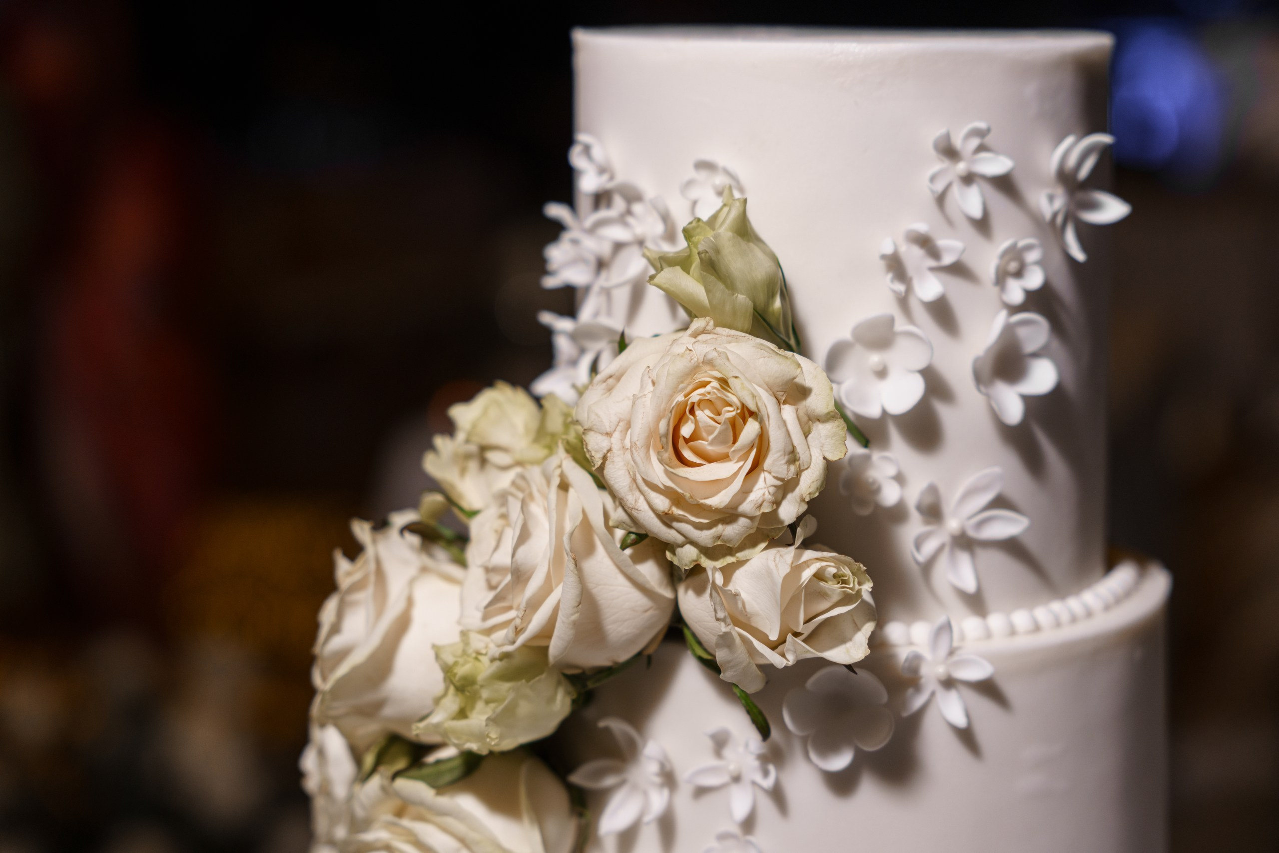 WeddingPhotos. Wedding photos and videos. Cancun, Tulum, Playa del Carmen, Los Cabos