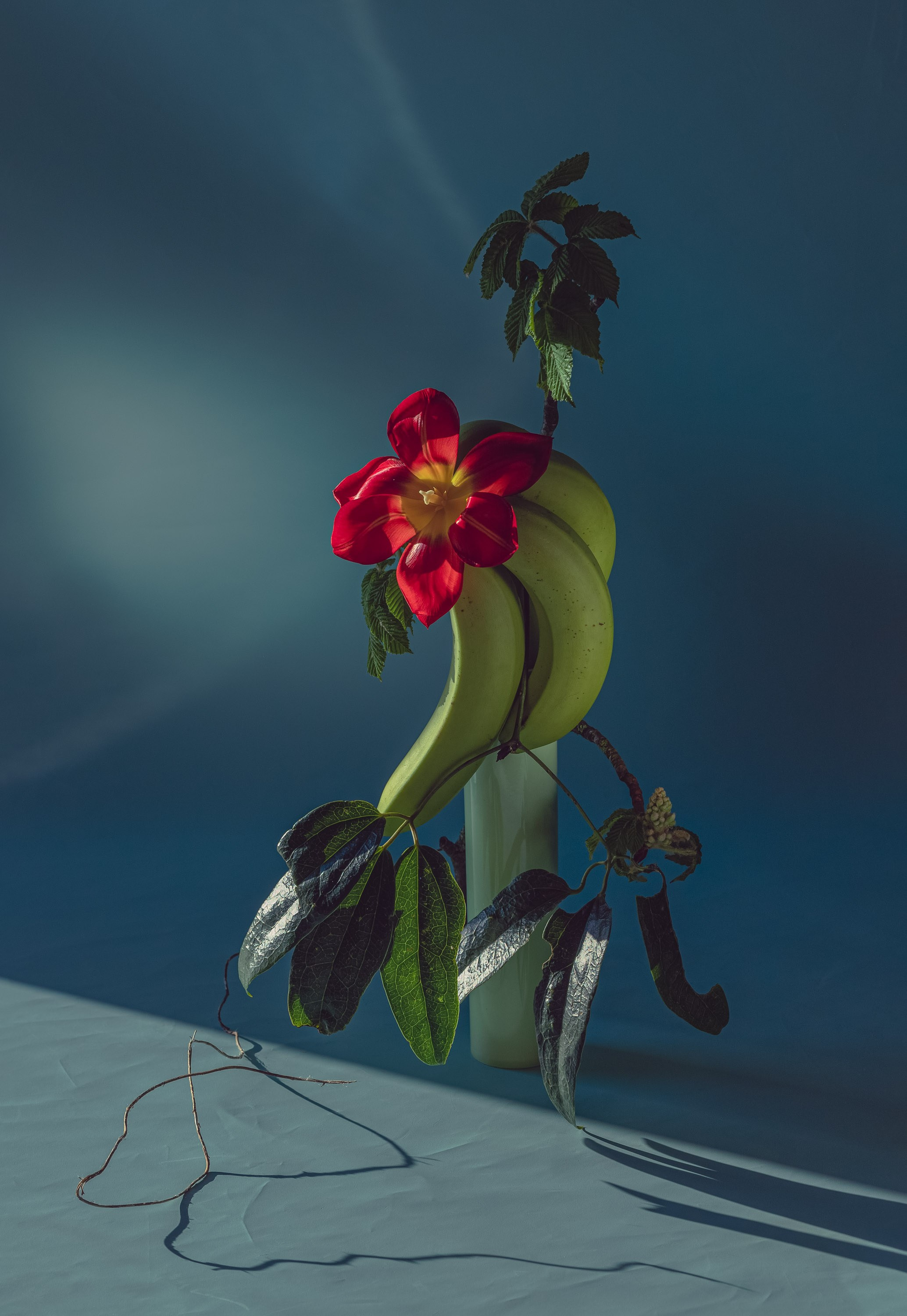 Marina Tsaregorodtseva still life fine art