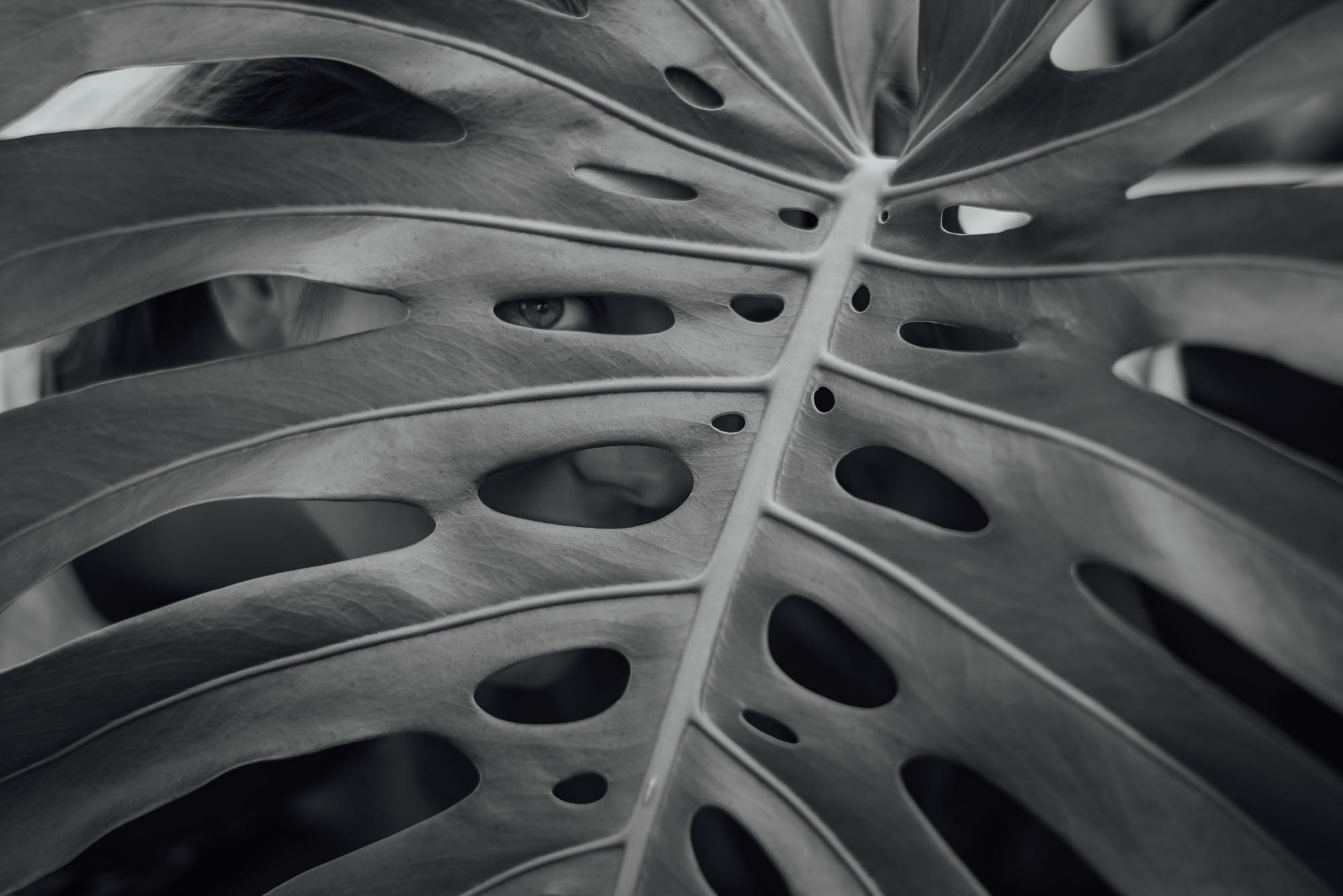 B+J| Фотосессия в миниатюрном Париже