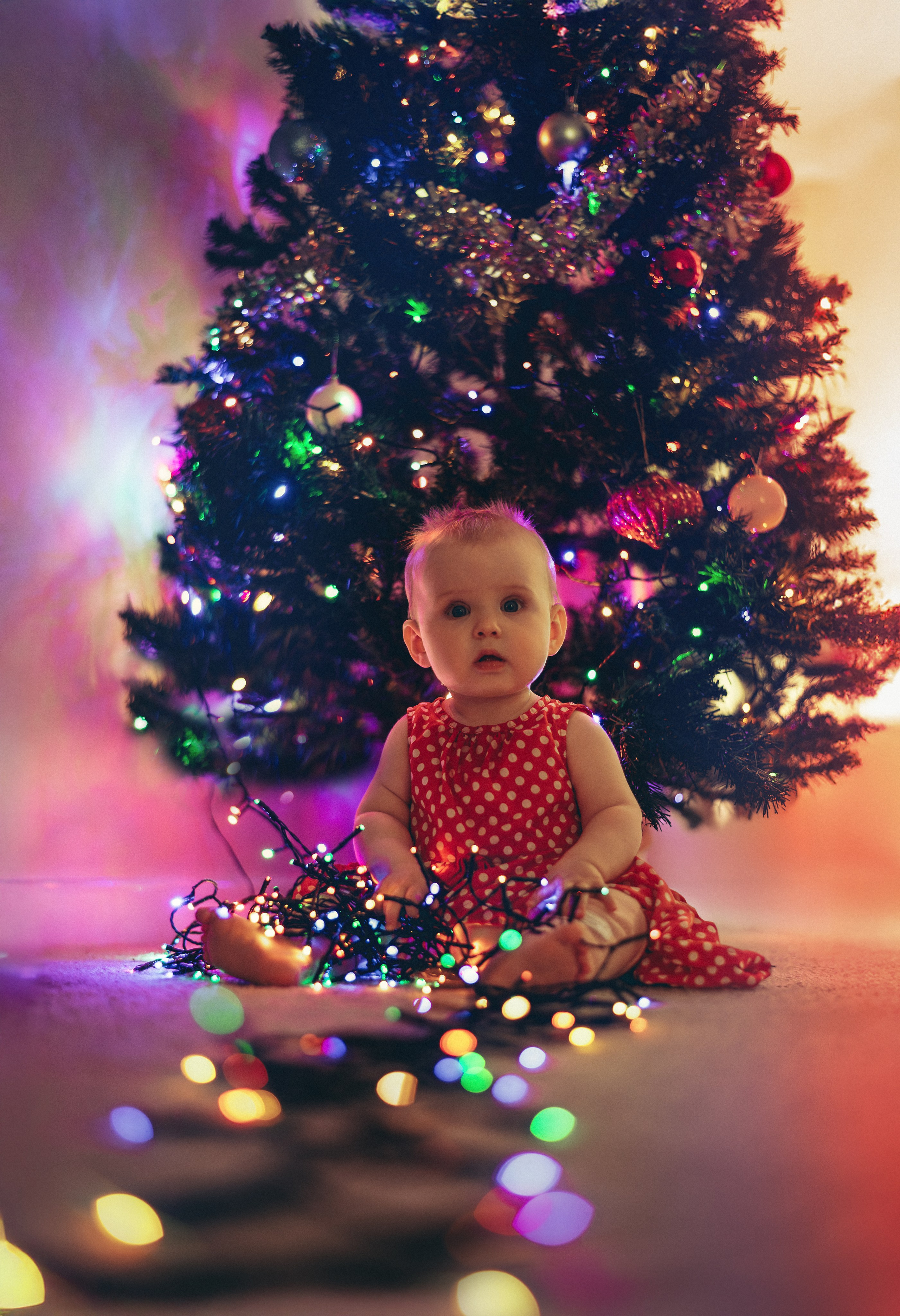 Christmas spirit. Natasha photo Photographer in Melbourne