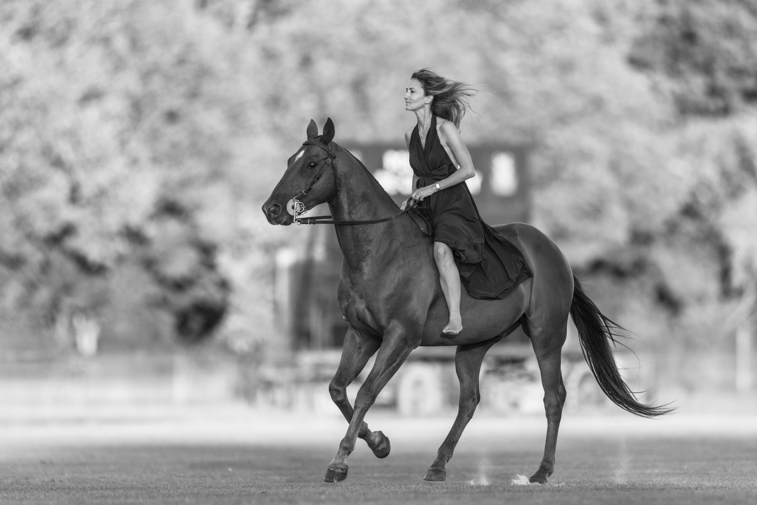 Photo Shoot with Horses in France | Horse & Rider Photography