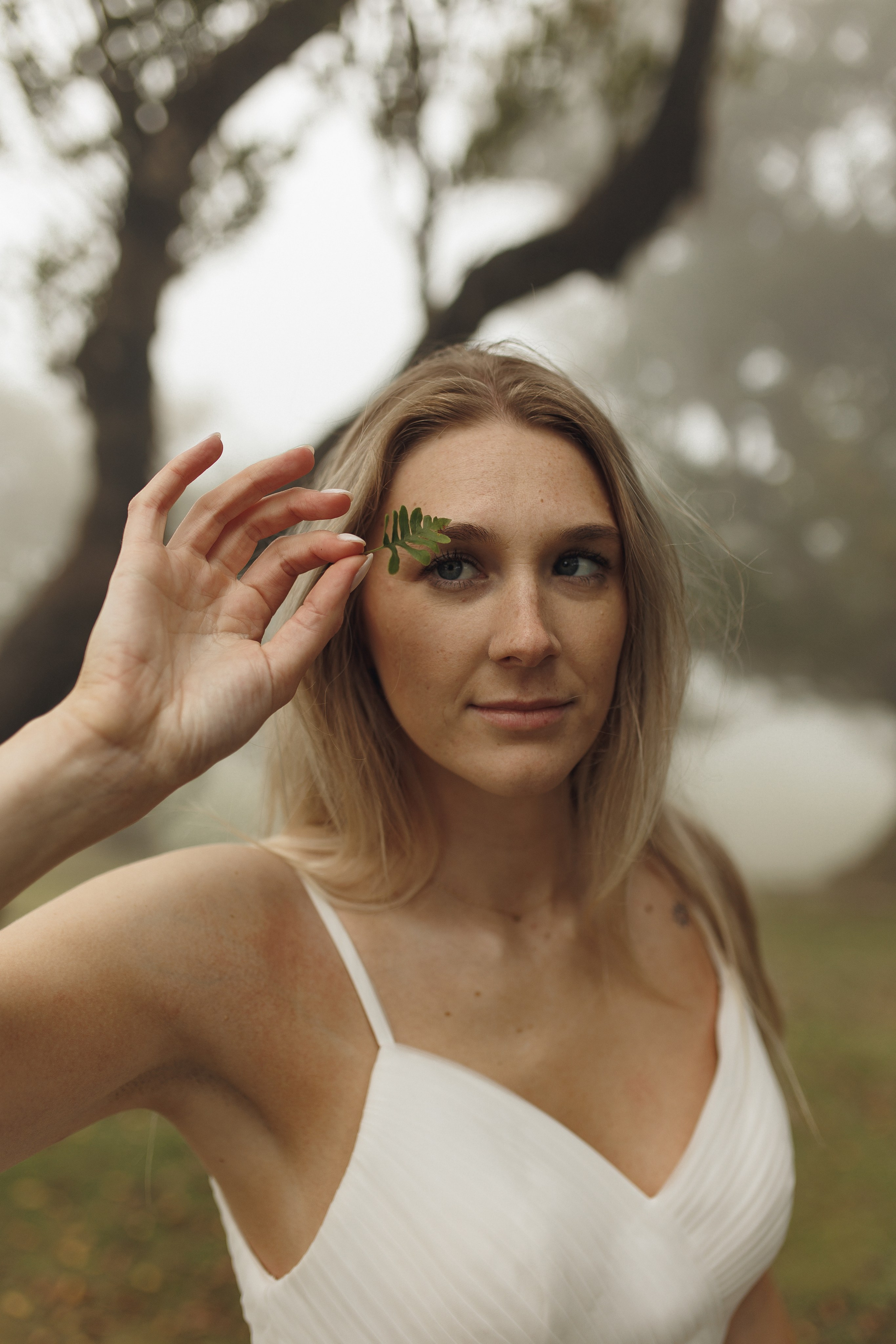 Elopement in Madeira | Mystical Forest of Fanal. Wedding photographer and videographer based in Timisoara, Romania