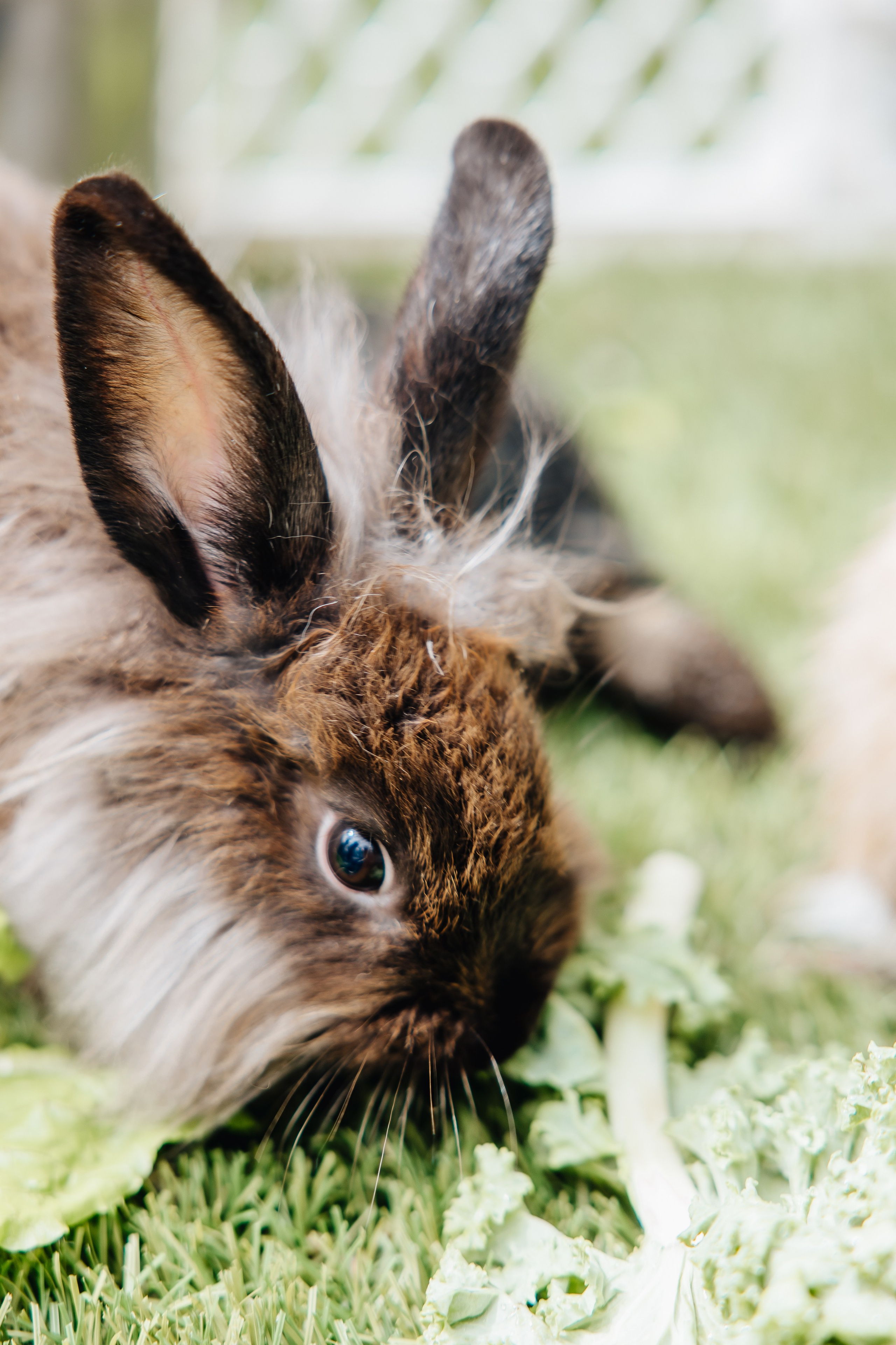 Kids Party. Alya Leto Photographer