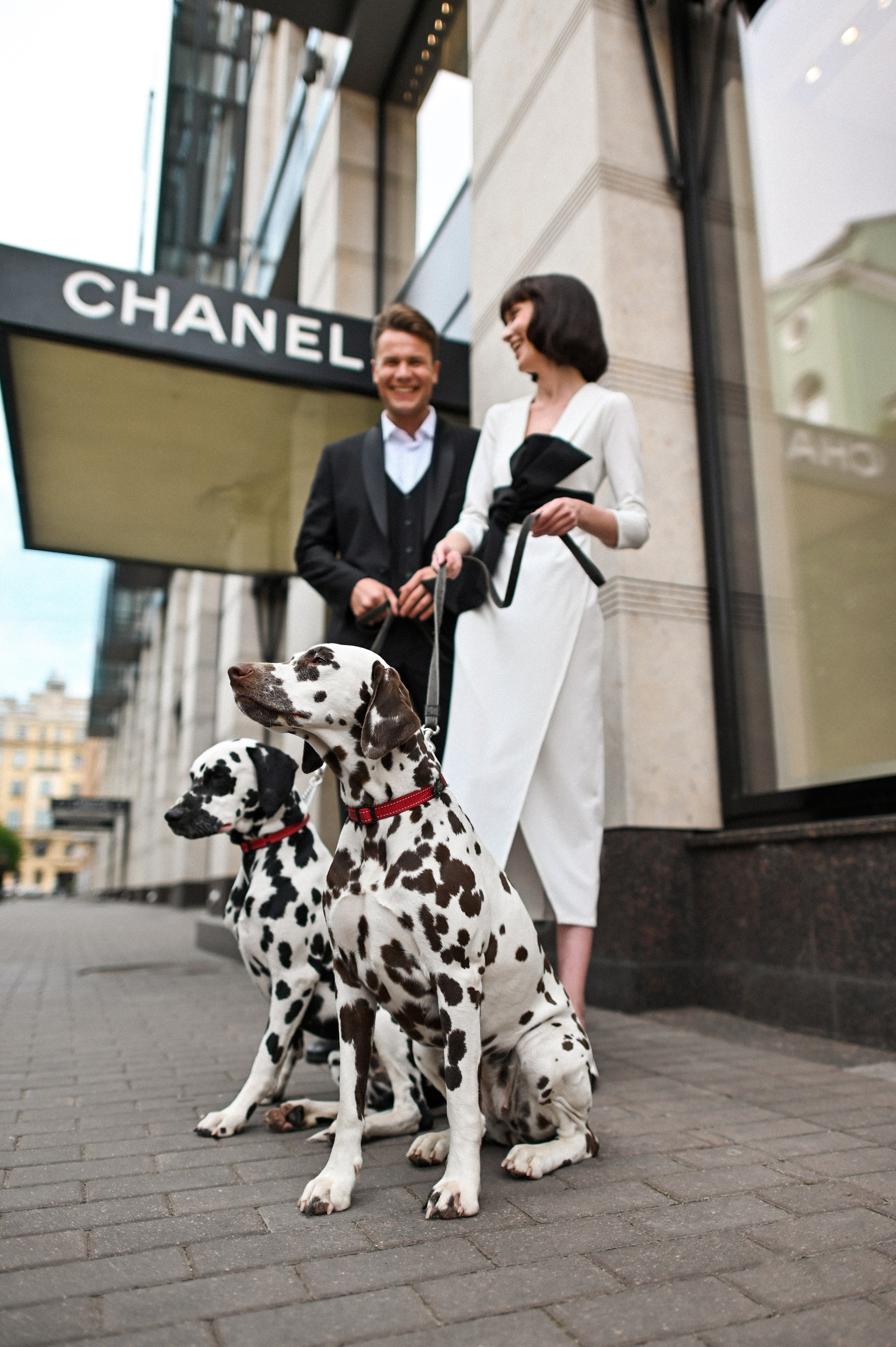 История с далматинцами. Детский и семейный фотограф в финляндии дина пулкка. контент фотограф