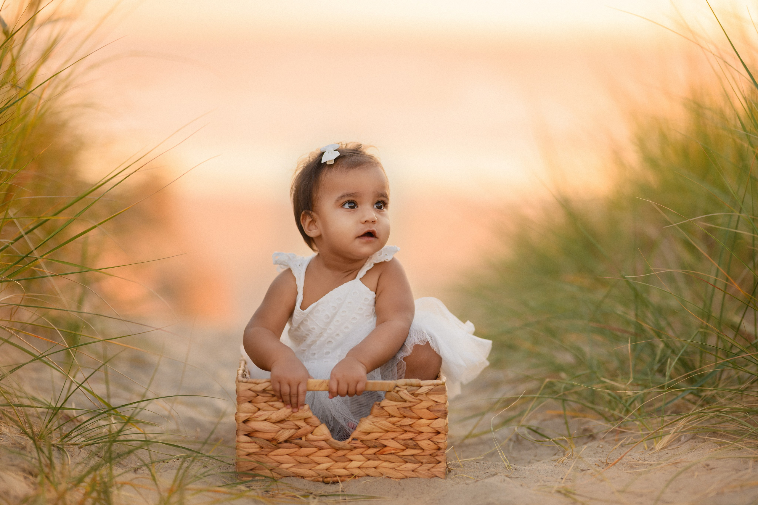 Praveena’s family. Wedding & portrait photography in the Seattle Area. Helen Michelle photographer