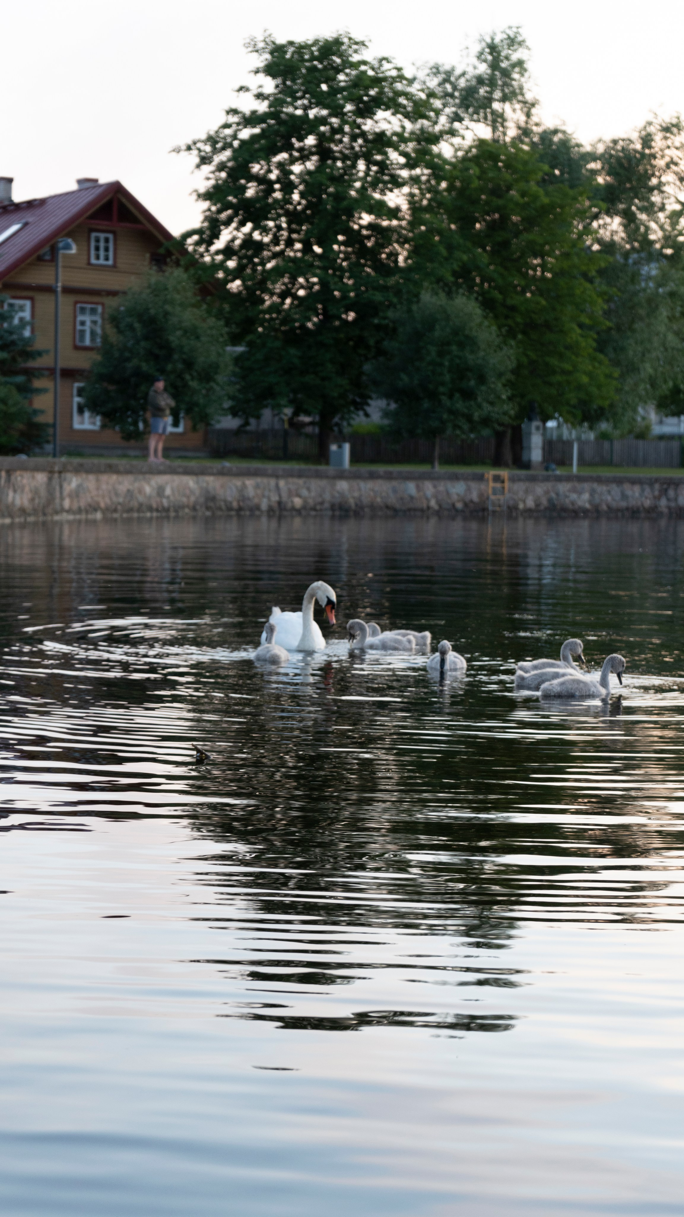 Whispers of Estonia. Photography | Videography | Marketing