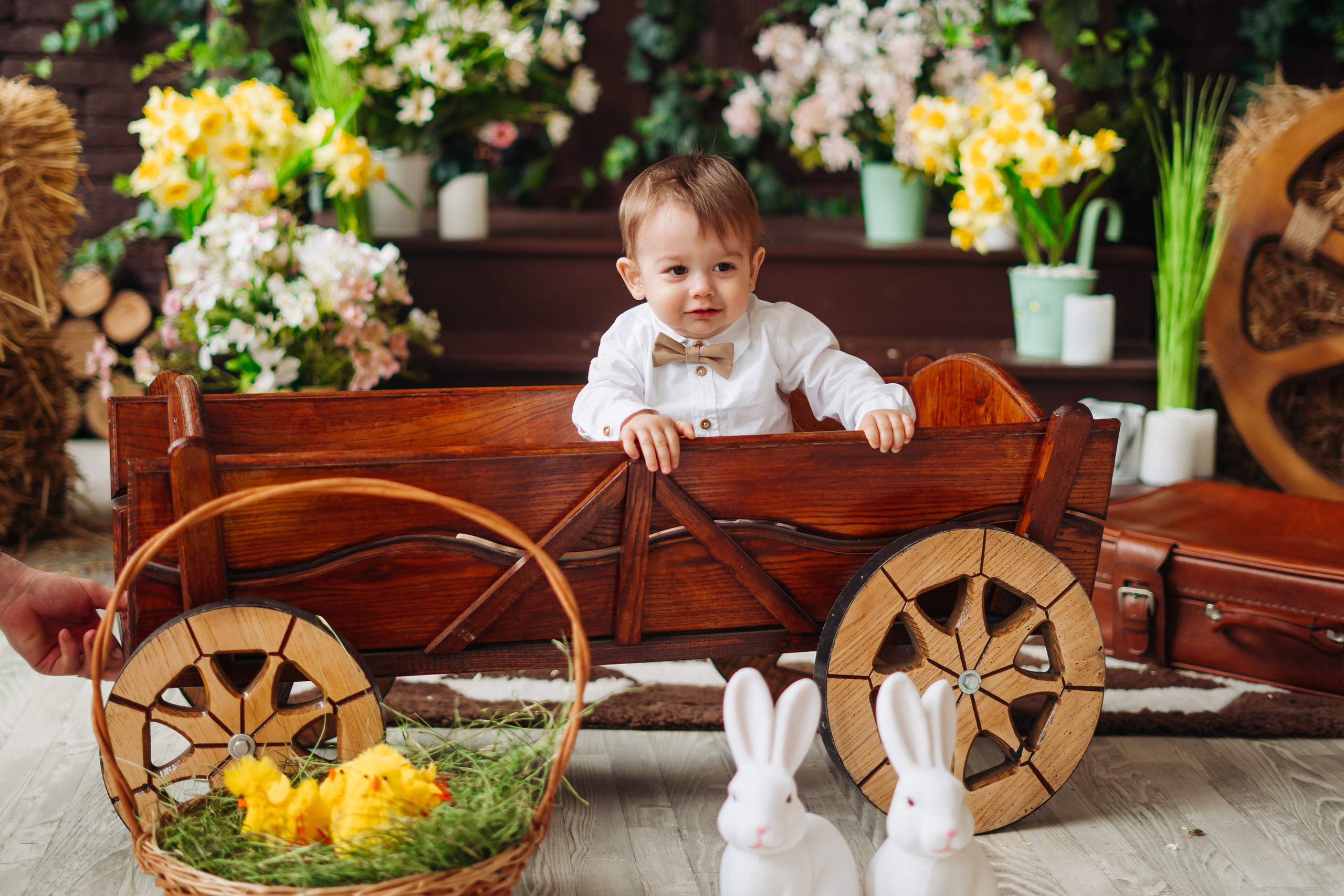 Damir. Diana Muntean Photography