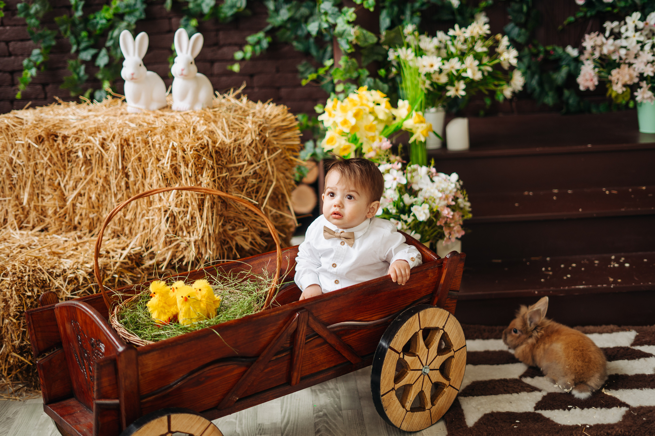 Damir. Diana Muntean Photography