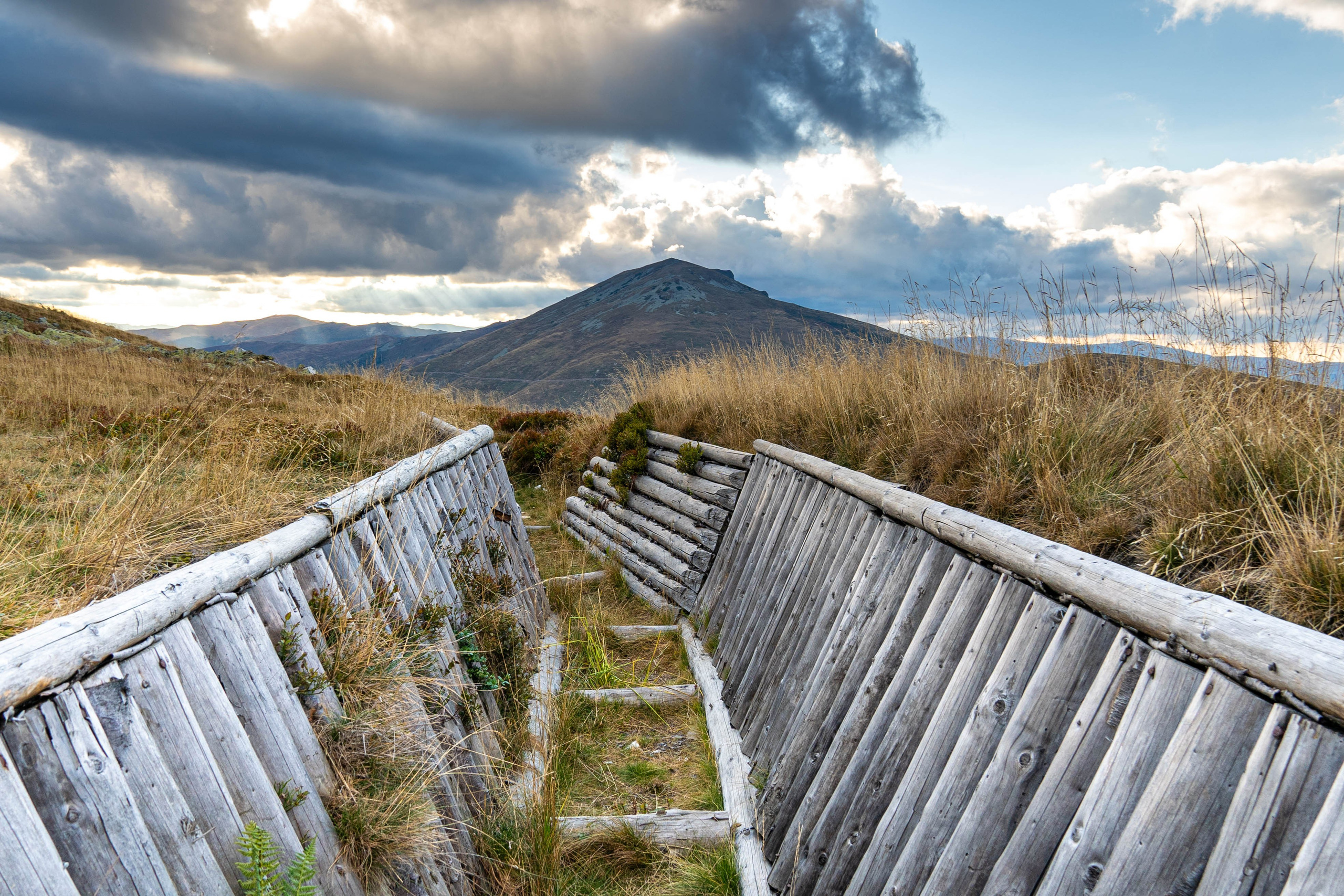 Nature. Alecsandru Braicu — Sports Photographer