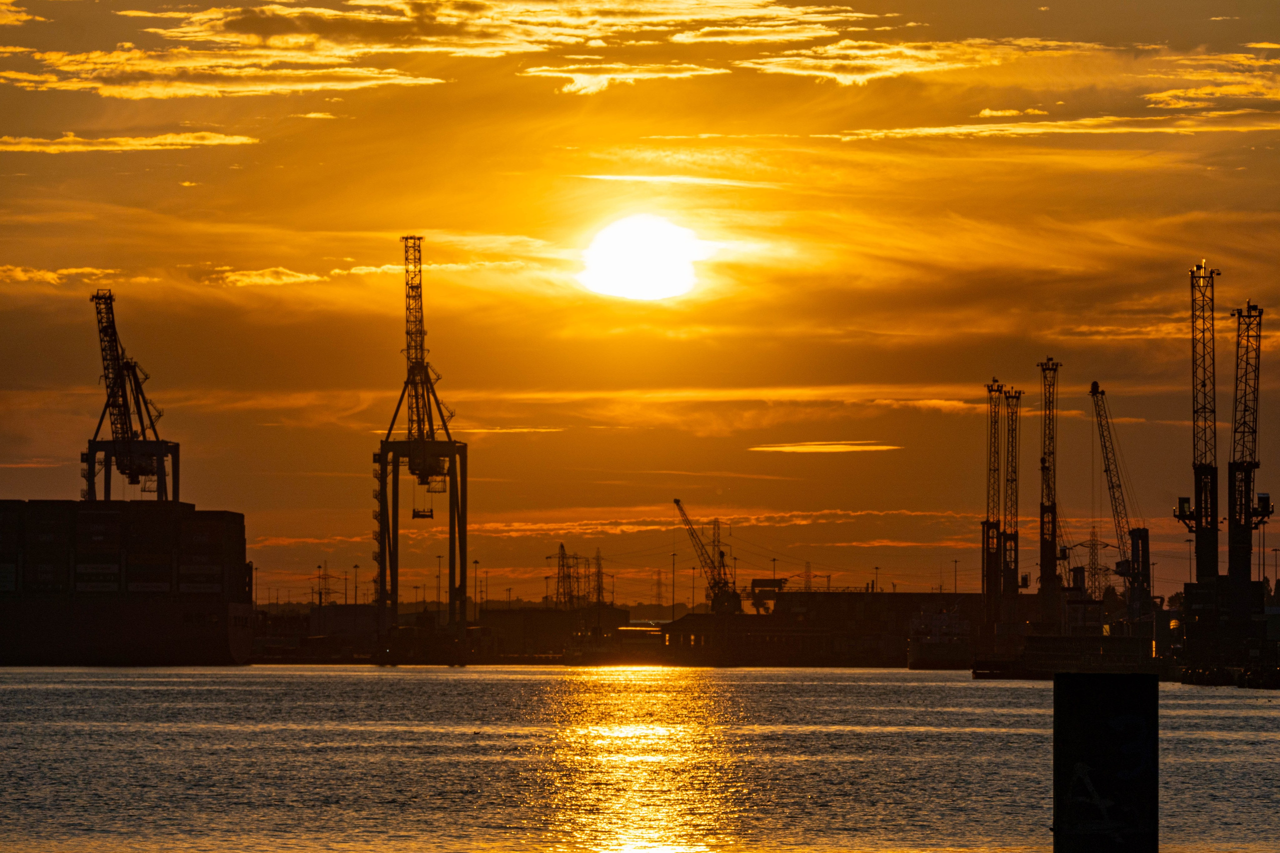 Nature. Alecsandru Braicu — Sports Photographer