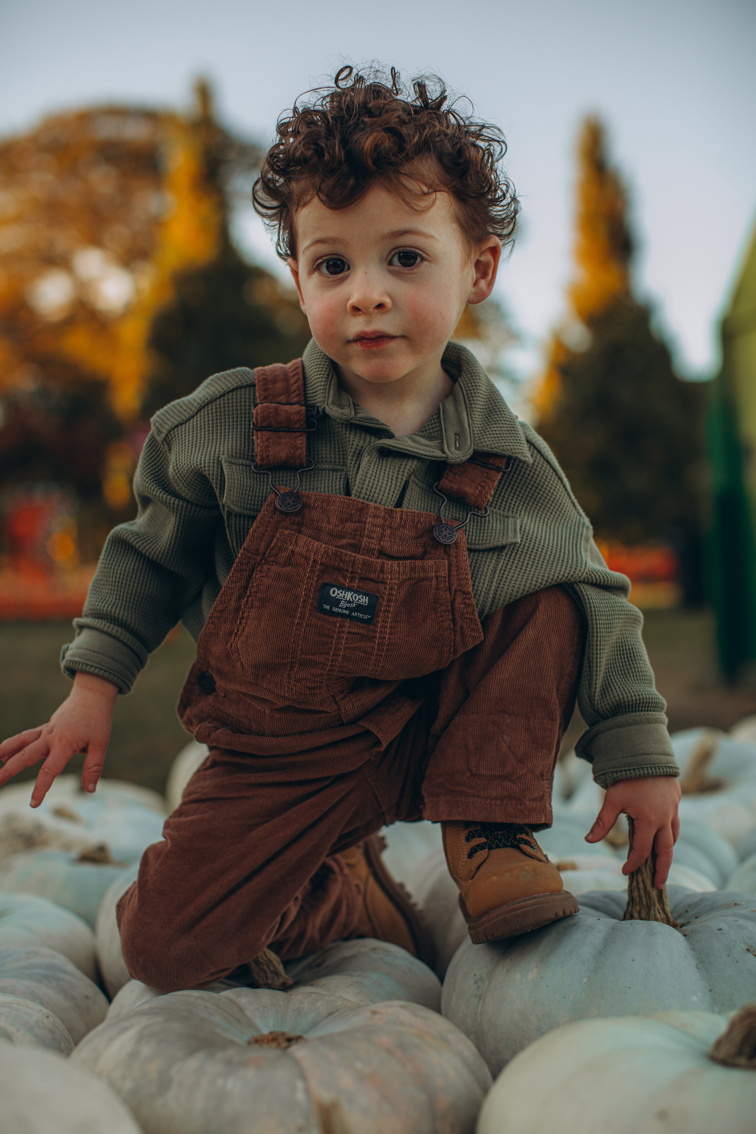 Victoria, Nick, Grayson and Noah at Harvest Moon Farm. Love Through Photo