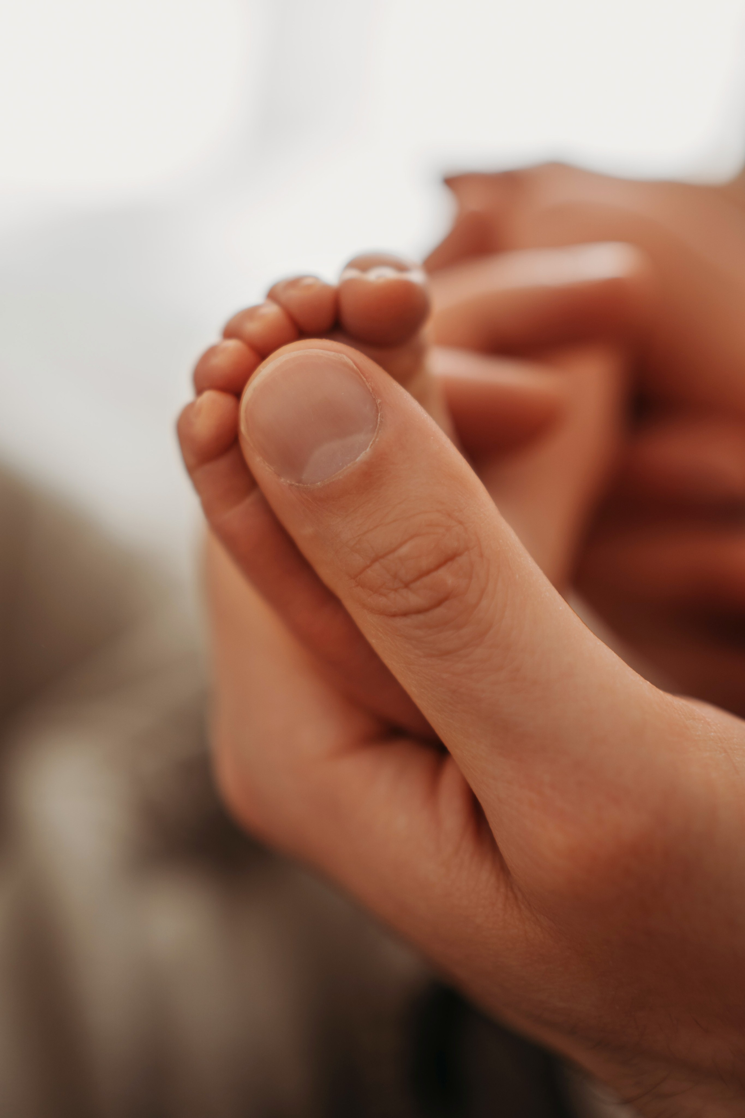 Лео и Соня (10 дней и 5 лет). Фотограф новорожденных и детей первого года Евгения Михалькевич