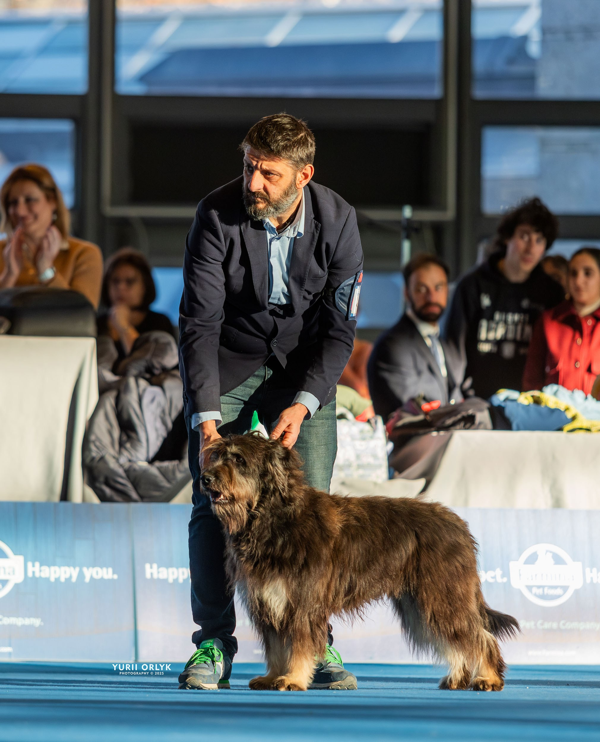 Dog Shows. Yurii Orlyk Photography