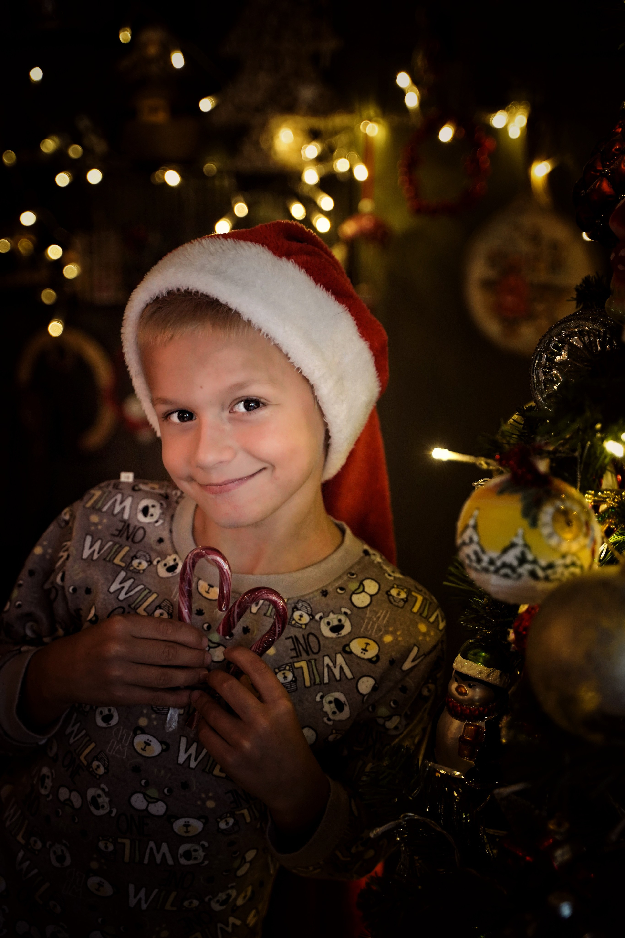 Эльфы. Фотограф. Визуал. Хайфа. Талья Цветкова