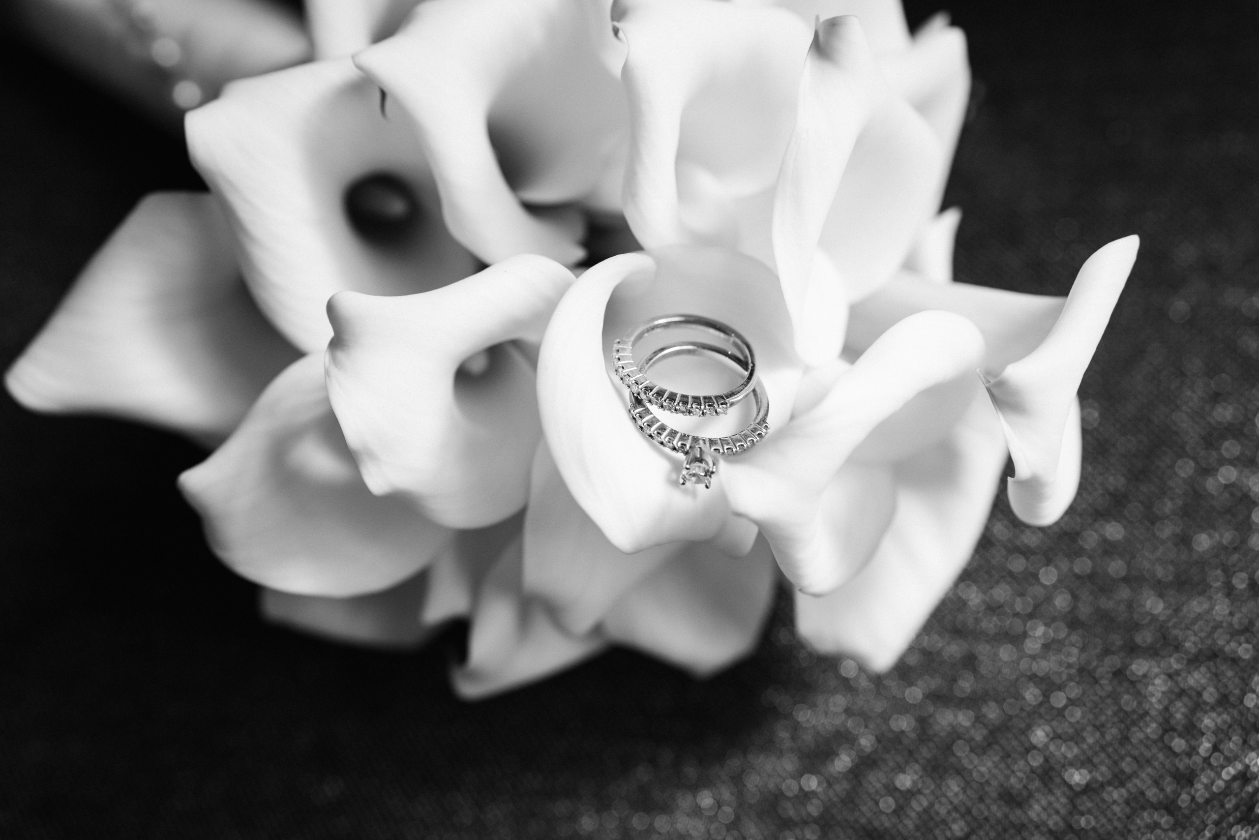 R&F. Photographer Netherlands