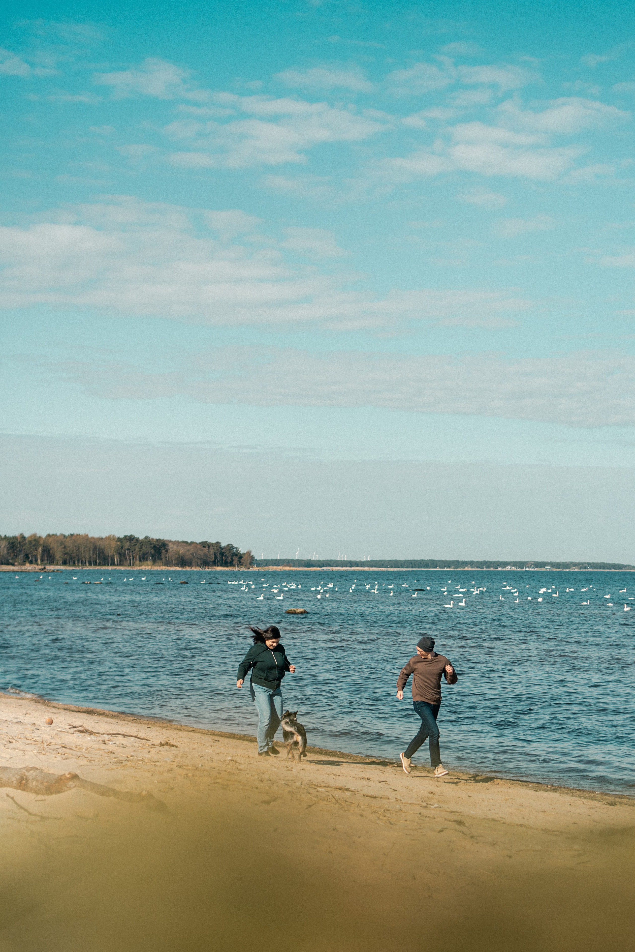 Oskar, Maria & Dmitrii. Kat Laisaar — Pet photographer in Tallinn