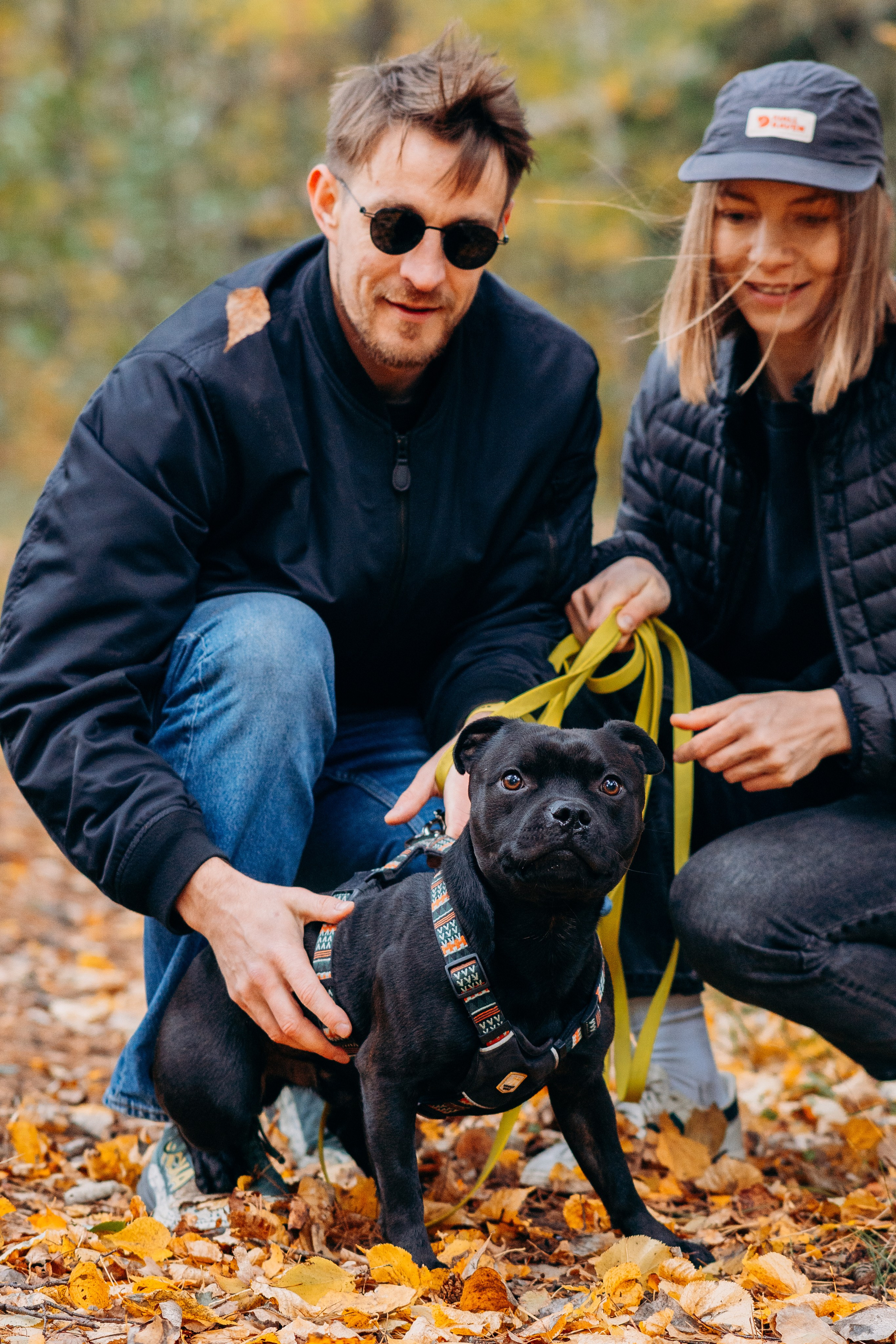 Staffordshire Bull Terriers Meetup. Kat Laisaar — Pet photographer in Tallinn
