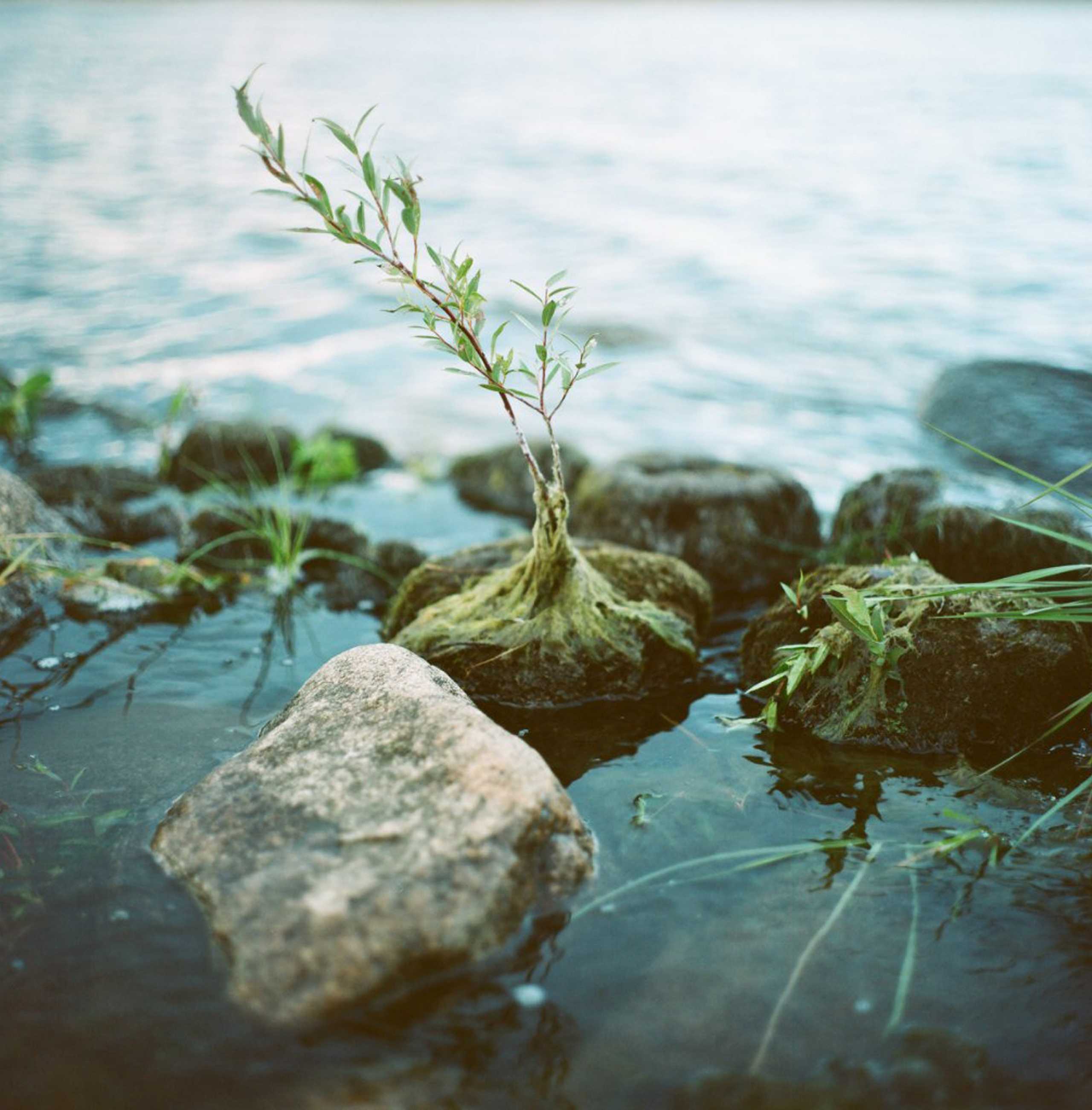 Landscapes. Map of the Borderlands