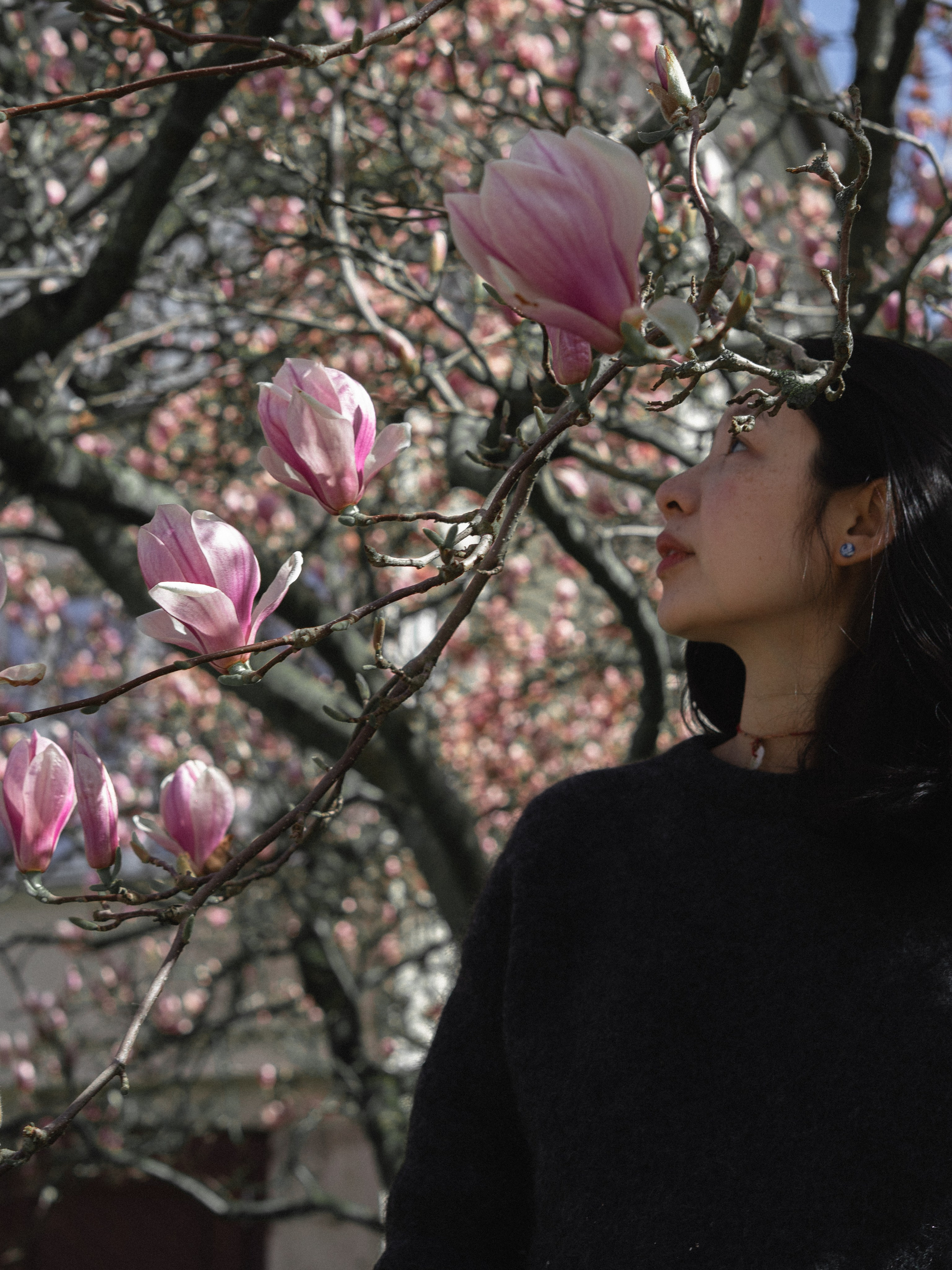 Chu-Chu. Portrait Photography in Weimar — and Worldwide