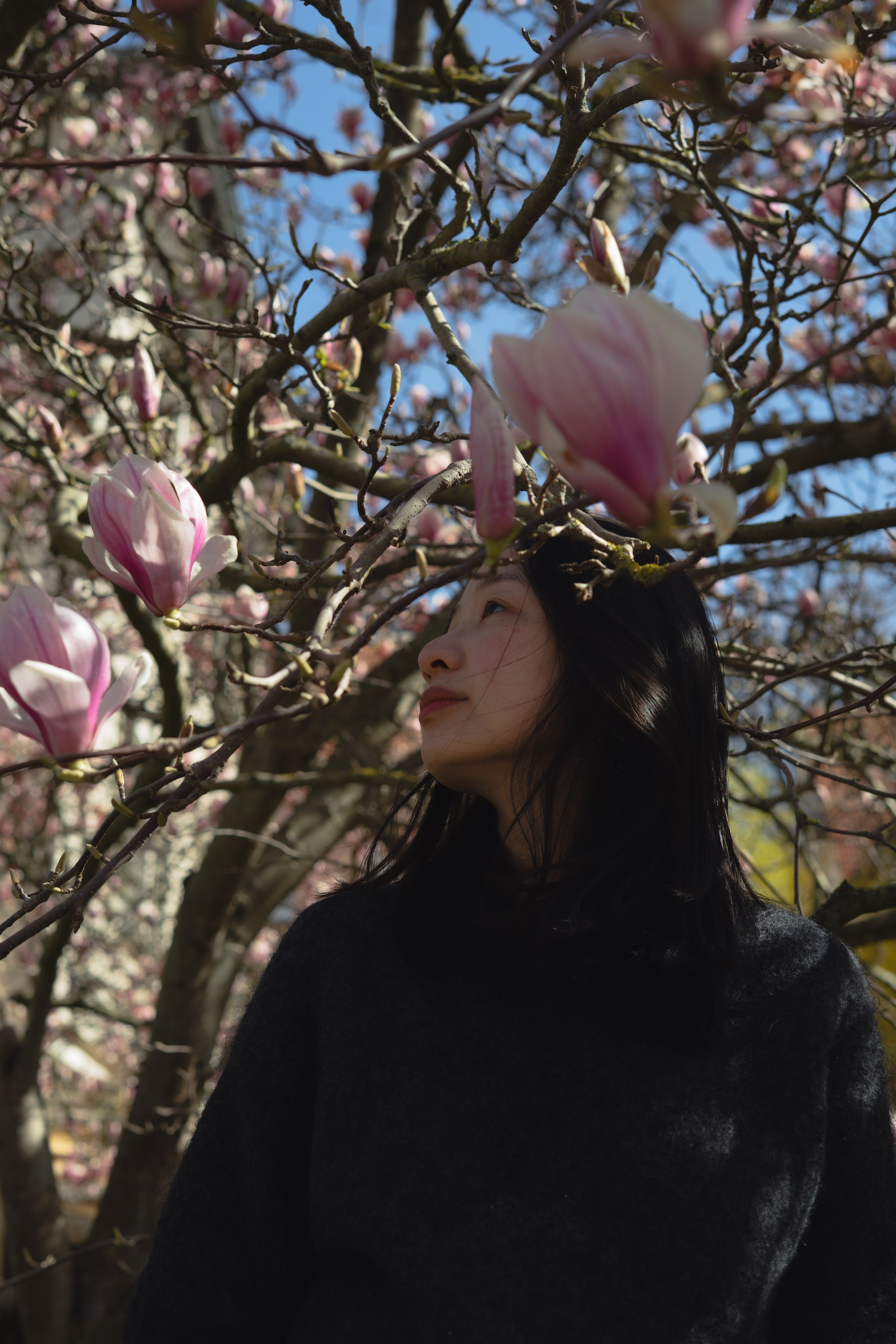 Chu-Chu. Portrait Photography in Weimar — and Worldwide