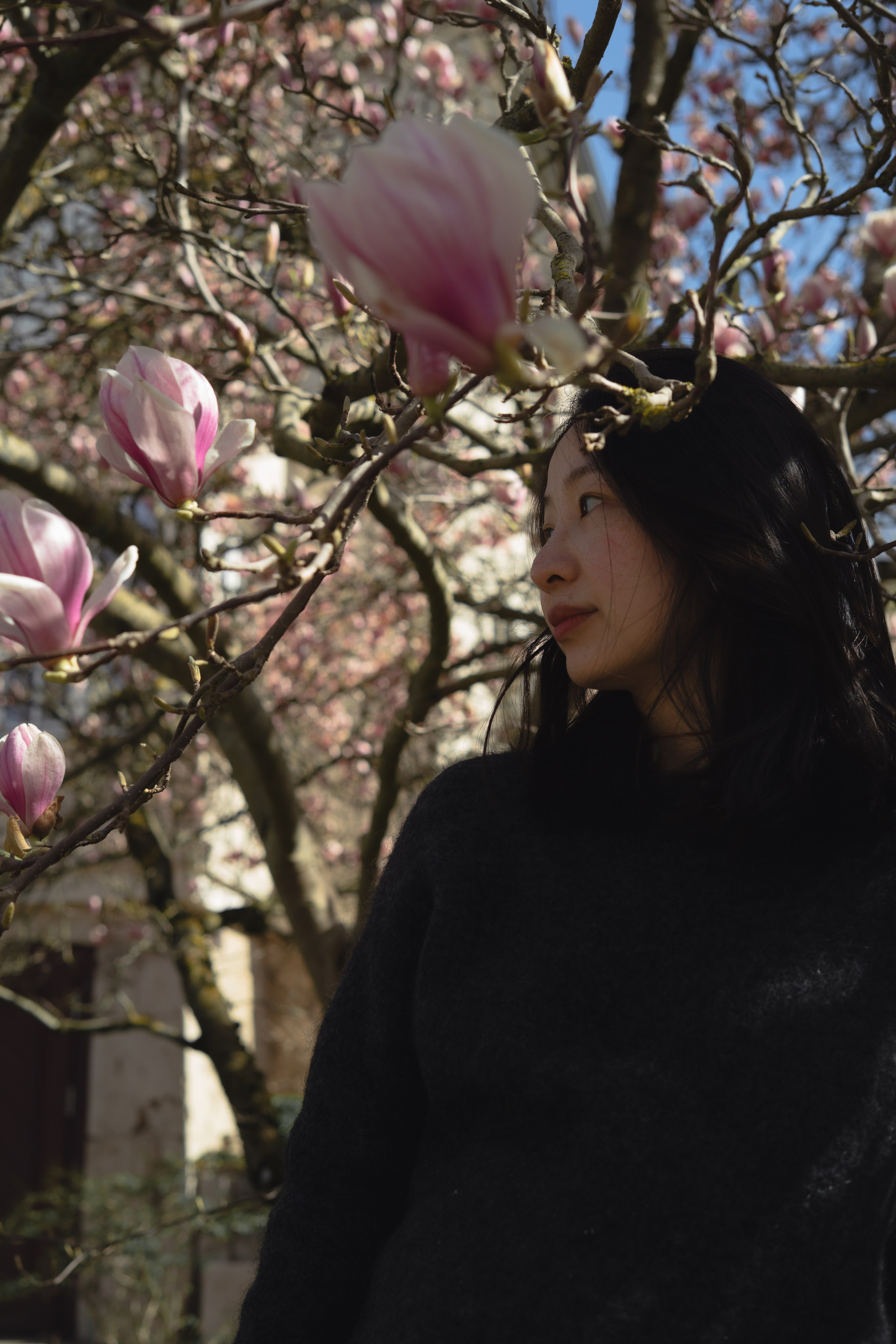 Chu-Chu. Portrait Photography in Weimar — and Worldwide
