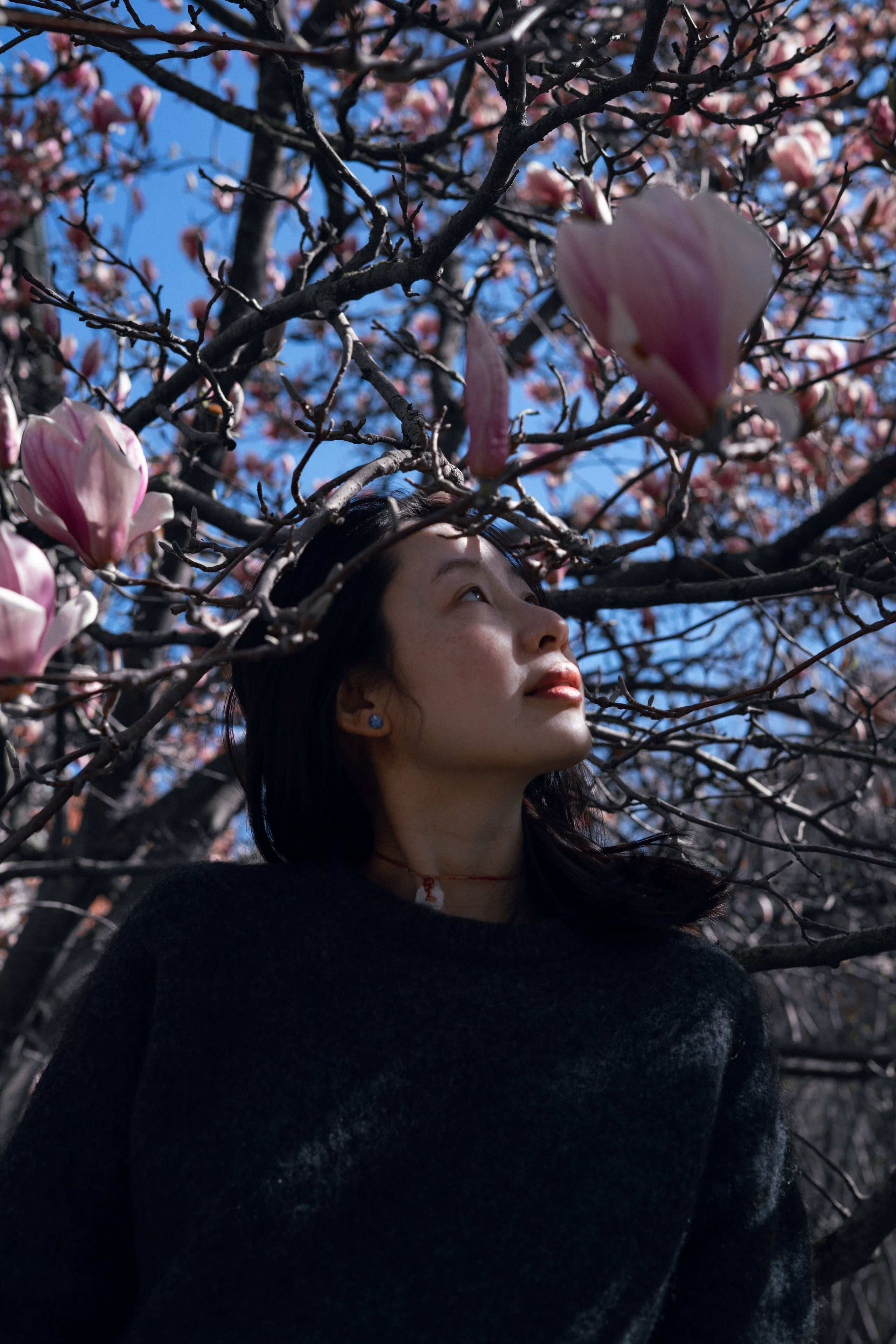 Chu-Chu. Portrait Photography in Weimar — and Worldwide