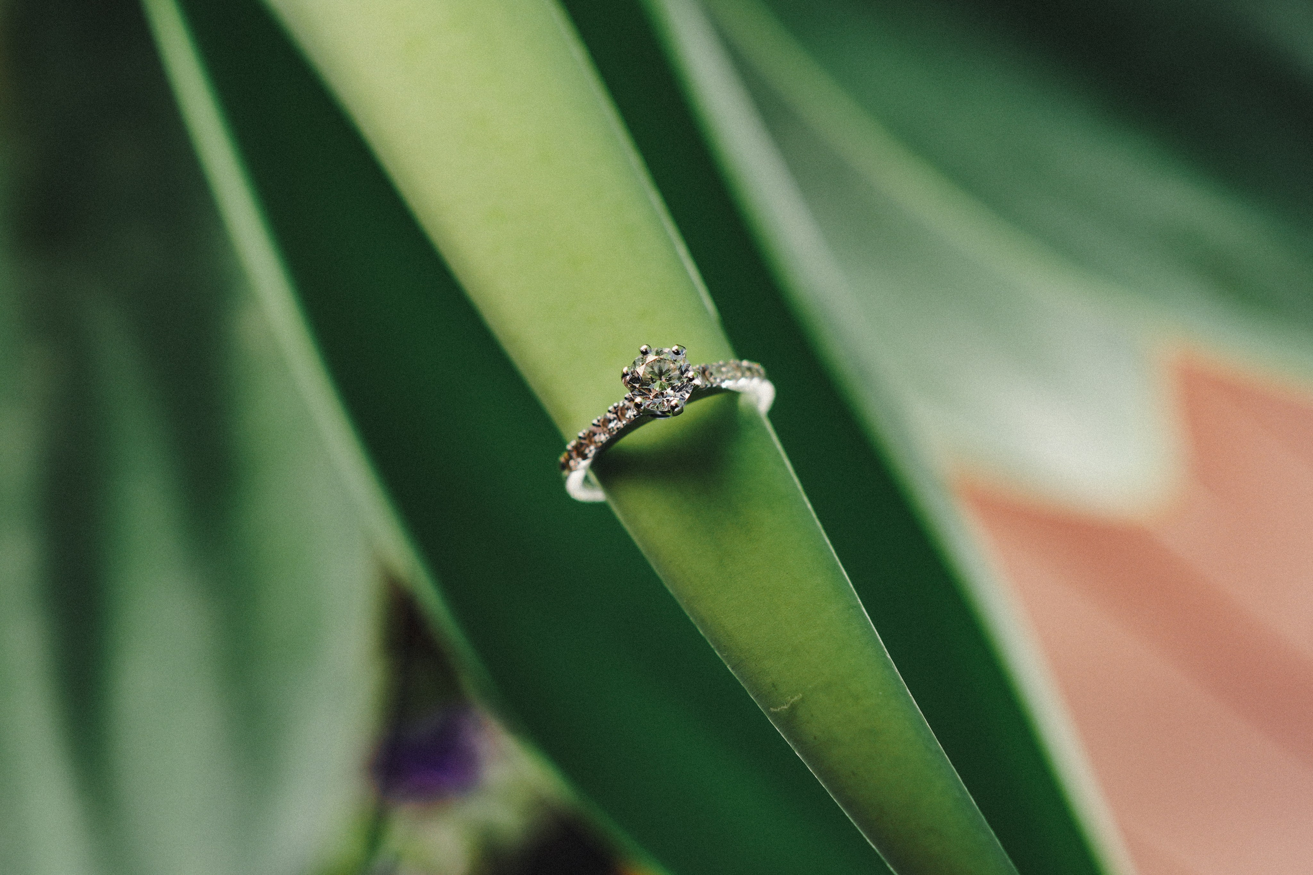 Dmitry Gorodetsky Event Photographer