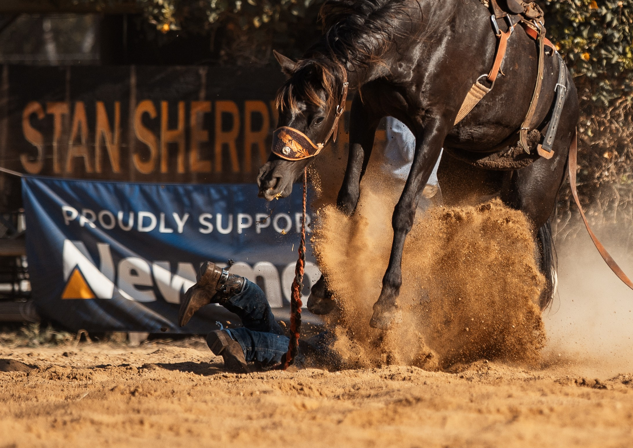 Selection of photos from different rodeos