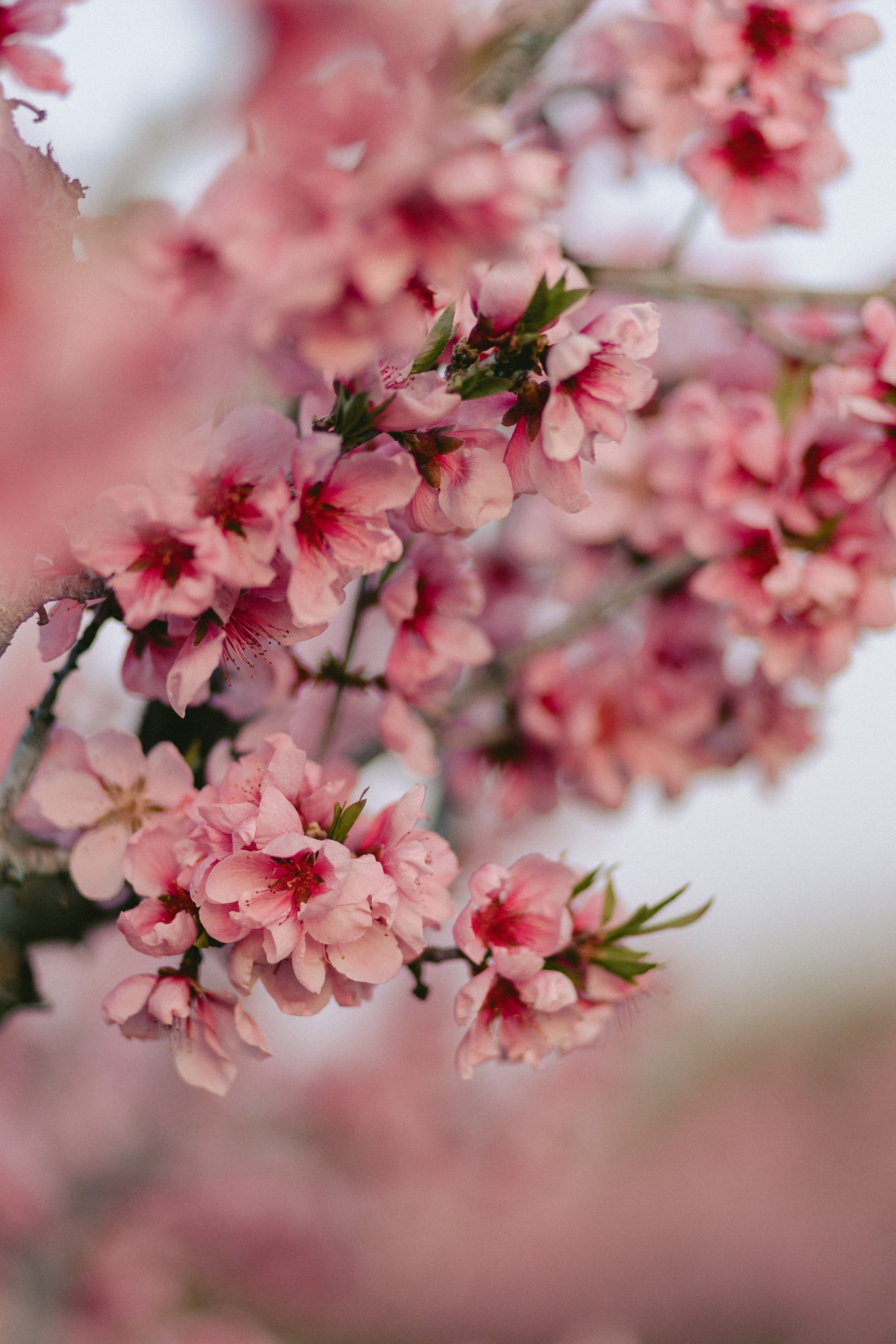 Evgenia. Photographer Anna Nazarenko