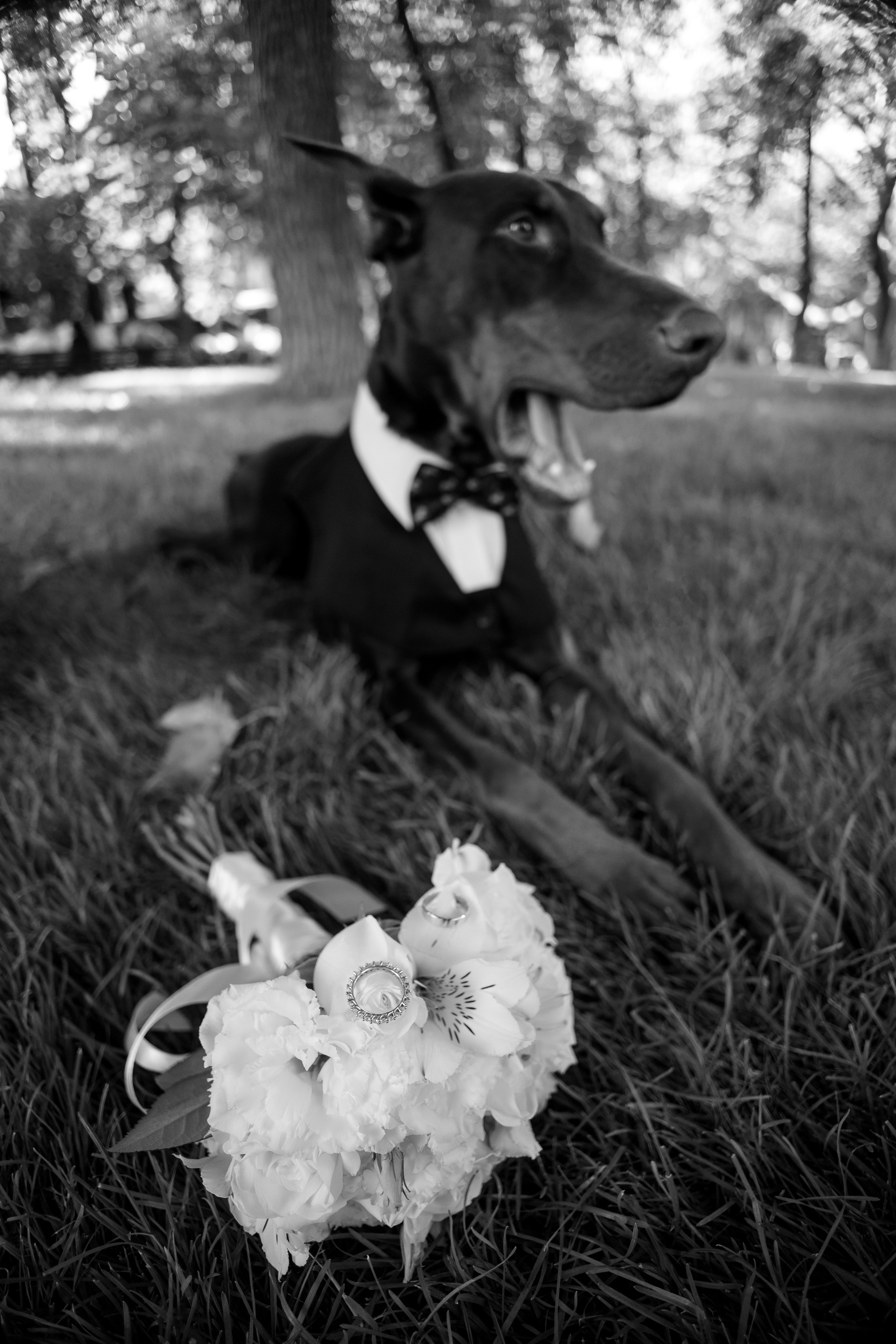 Діана & Влад. Весільний та сімейний фотограф Одеса