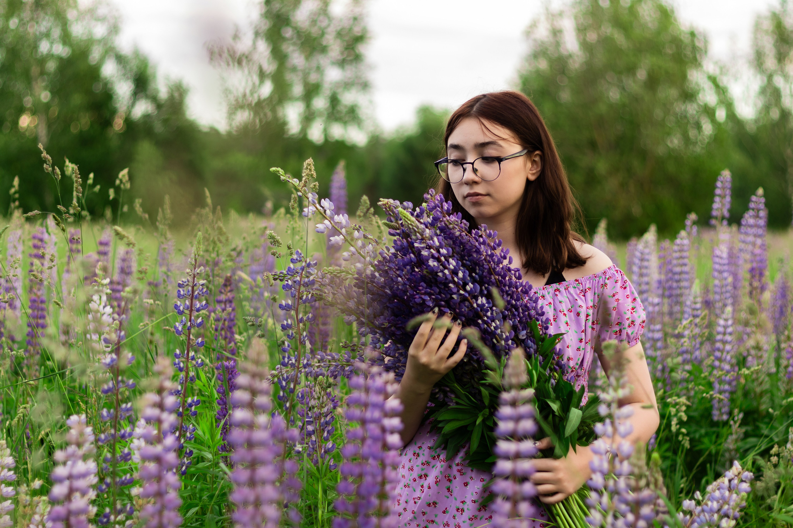 Фотосессия в люпинах. Фотограф / Даугавпилс / Ольга Антонова