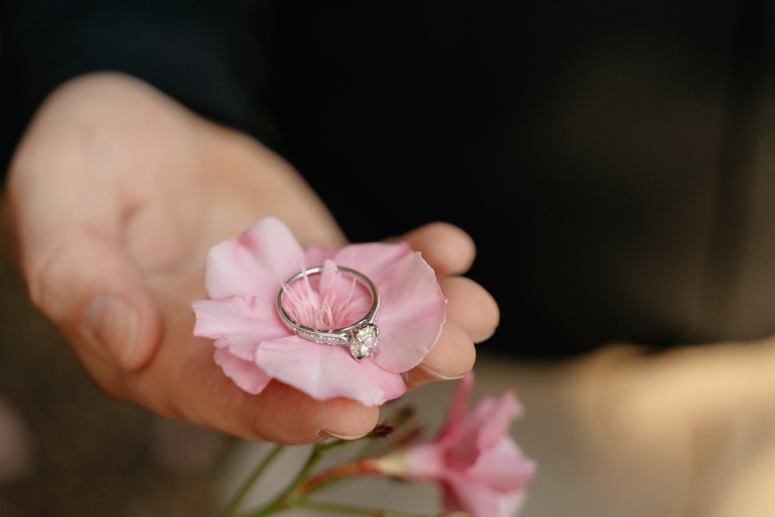 A & A (Castel San Pietro, Verona, Italy). Marriage Proposal Photographer in Verona, Lake Garda and Dolomites| Diana Fedrigo