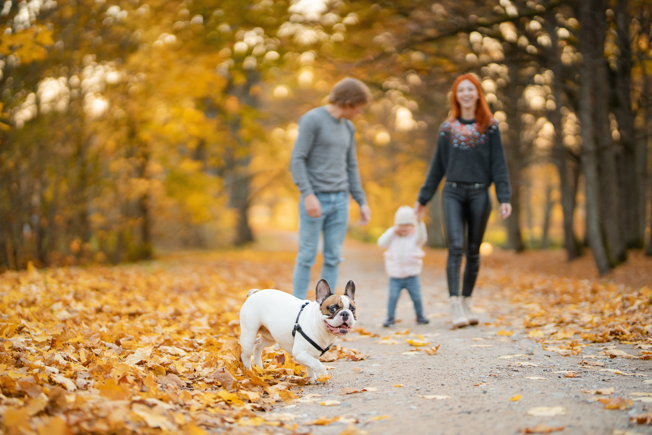 Л+А+М+С. Макар Кириков — свадебный и семейный фотограф Даугавпилс, Рига, Вильну