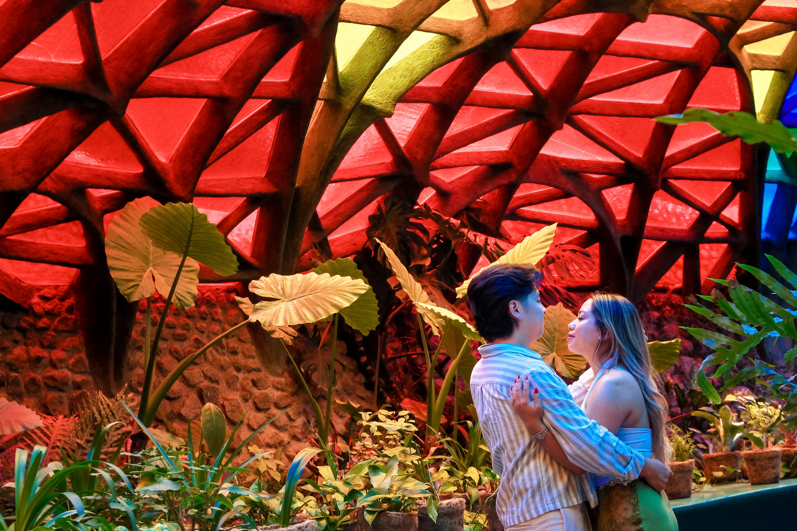 Tedy & Taylor. Wedding and family photographer in Mexico City