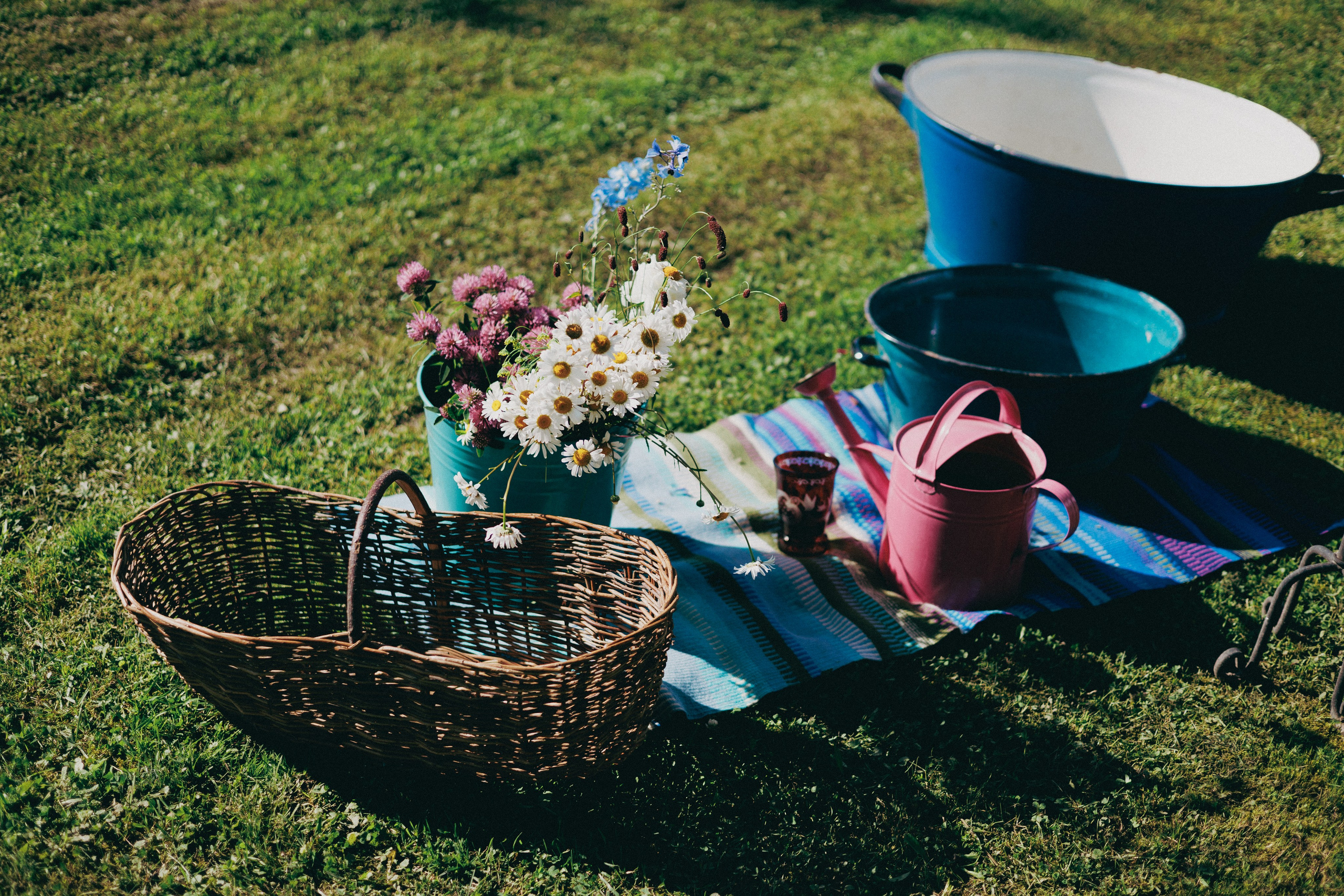 Vasara sode. Портретный фотограф Александра Самозванова