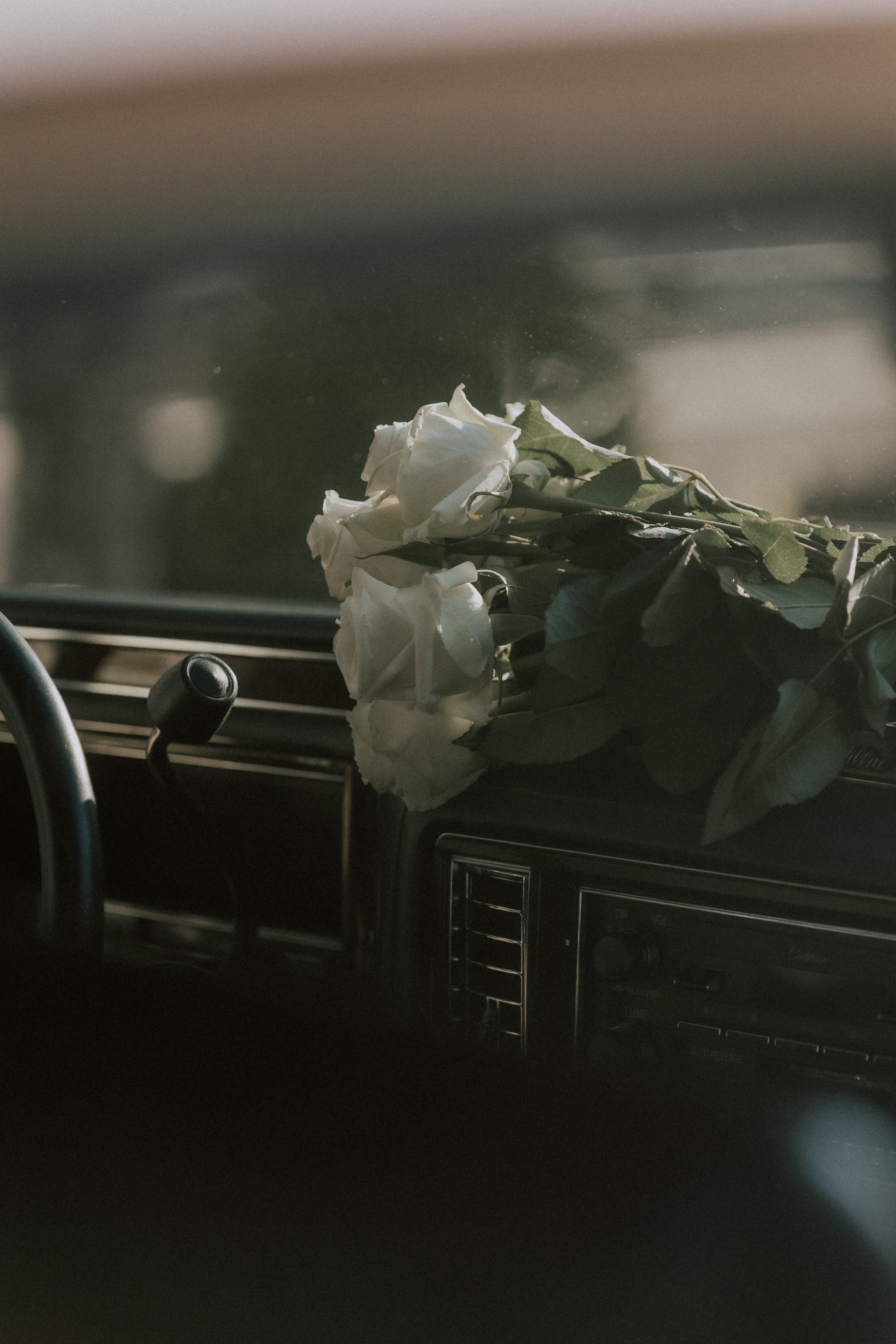 Love is…. Фотограф Ирина Йотова