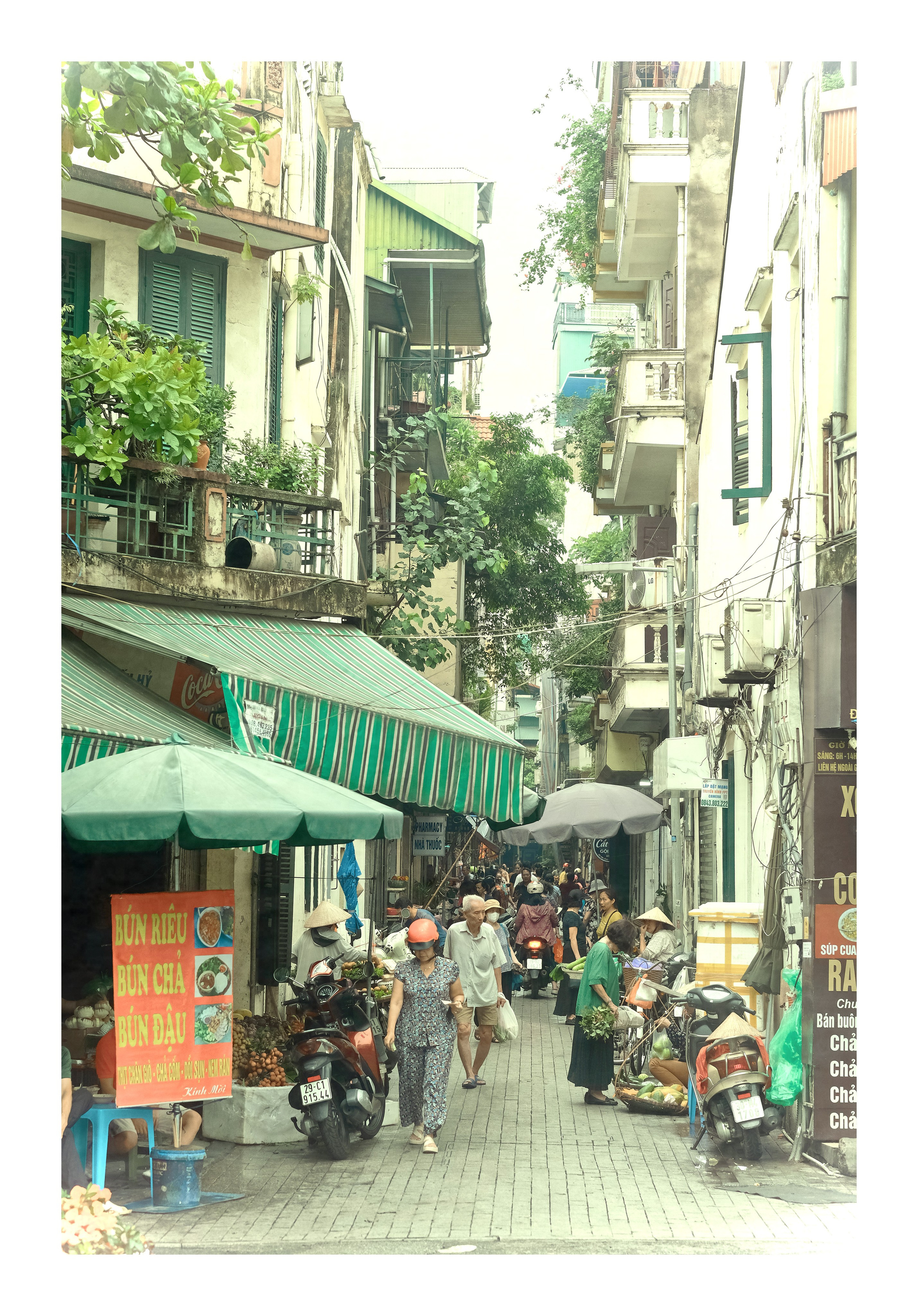 Traditional Hanoi Urban Housing with Colonial Details