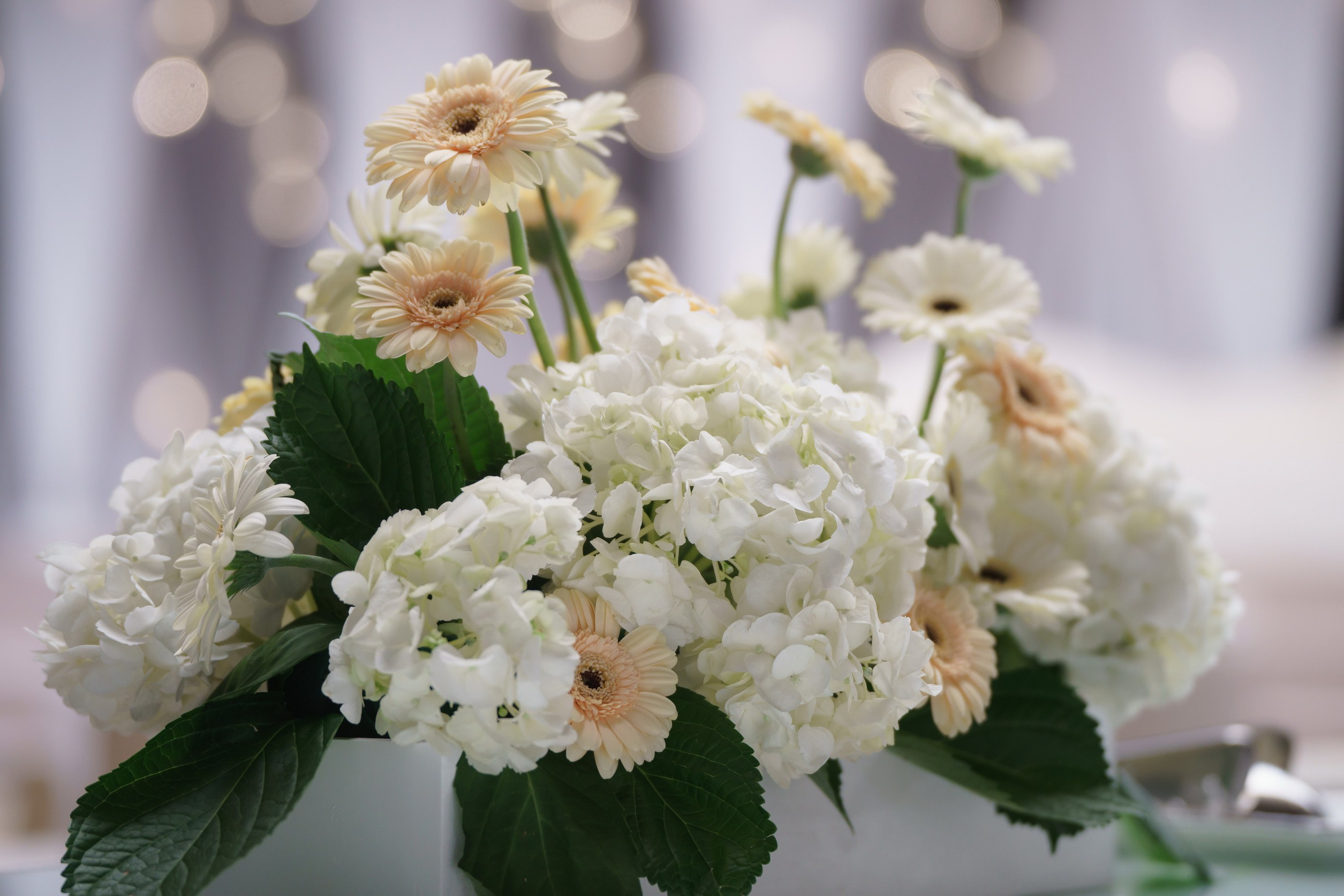 29/04/2023. Фотограф Анна Кучерявая | Свадьбы и мероприятия в Дубае