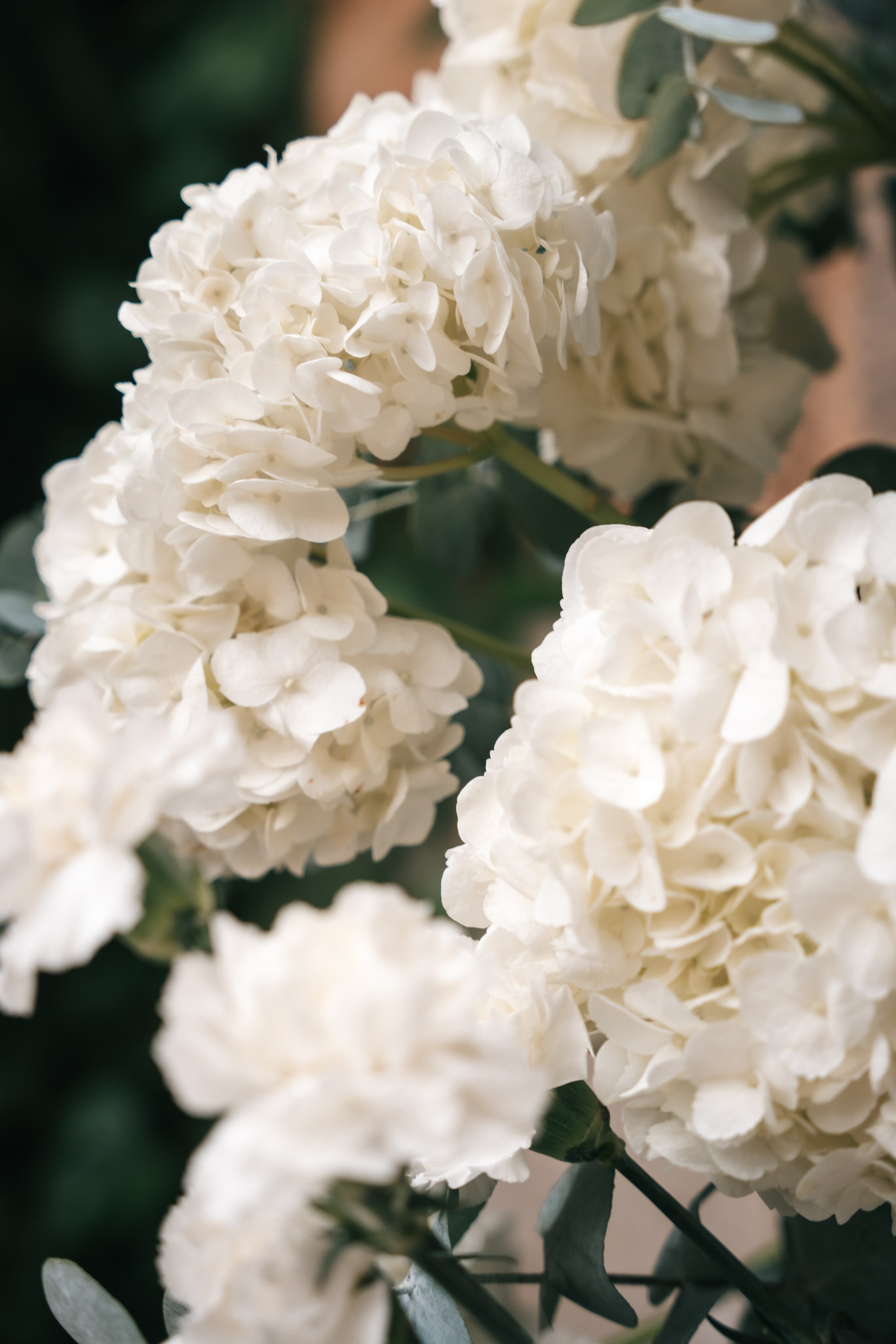 Hochzeit | Son Togores. Elena Seewald