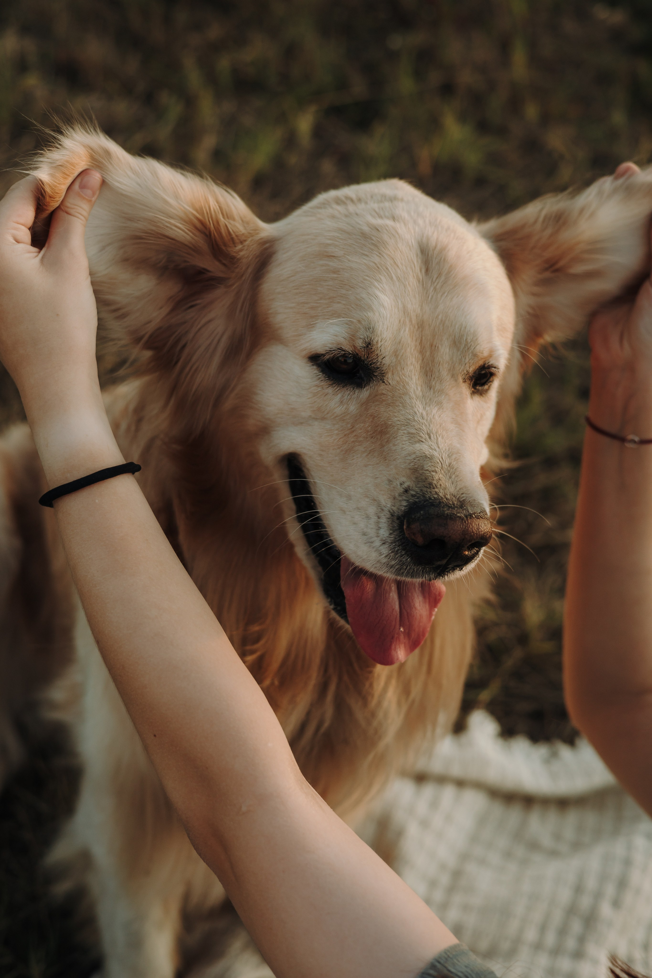 Катя и Бро. Фотограф-анималист | Белград