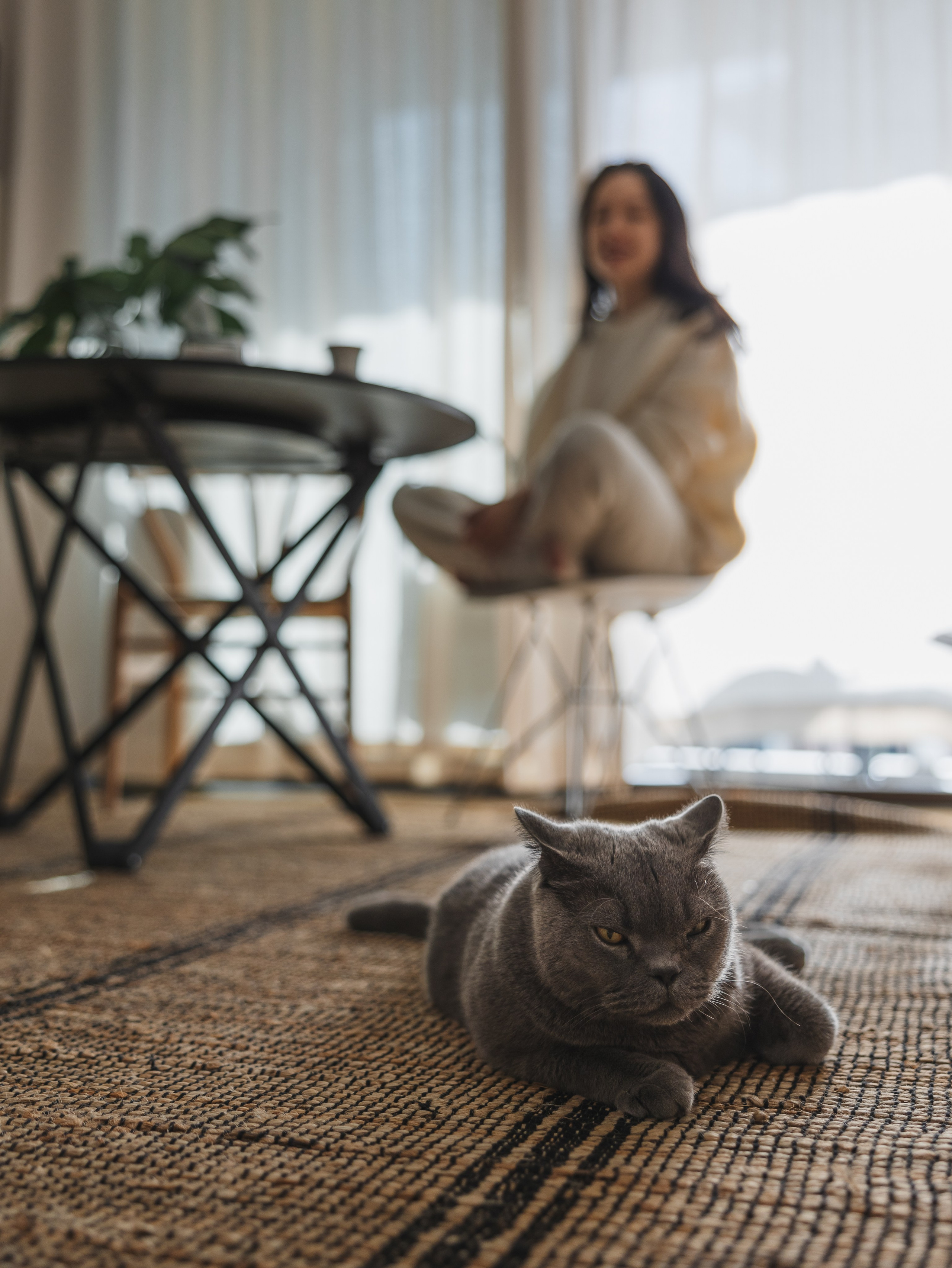 Photos of pets. Shanghai Family Photographer Dora