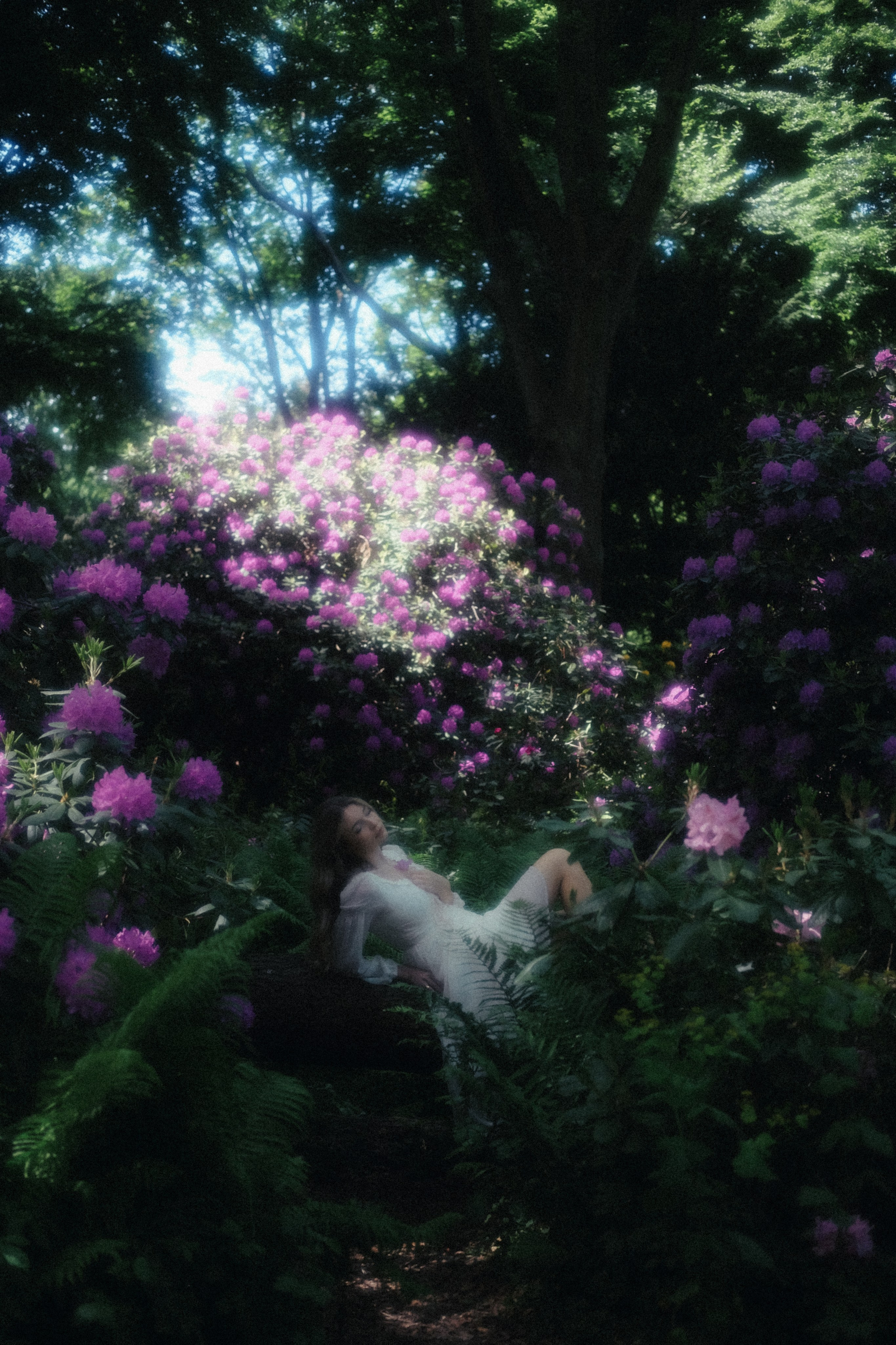 Somewhere between a dream and a fairytale ✨. Alena Iatkina — Fine Art Photographer