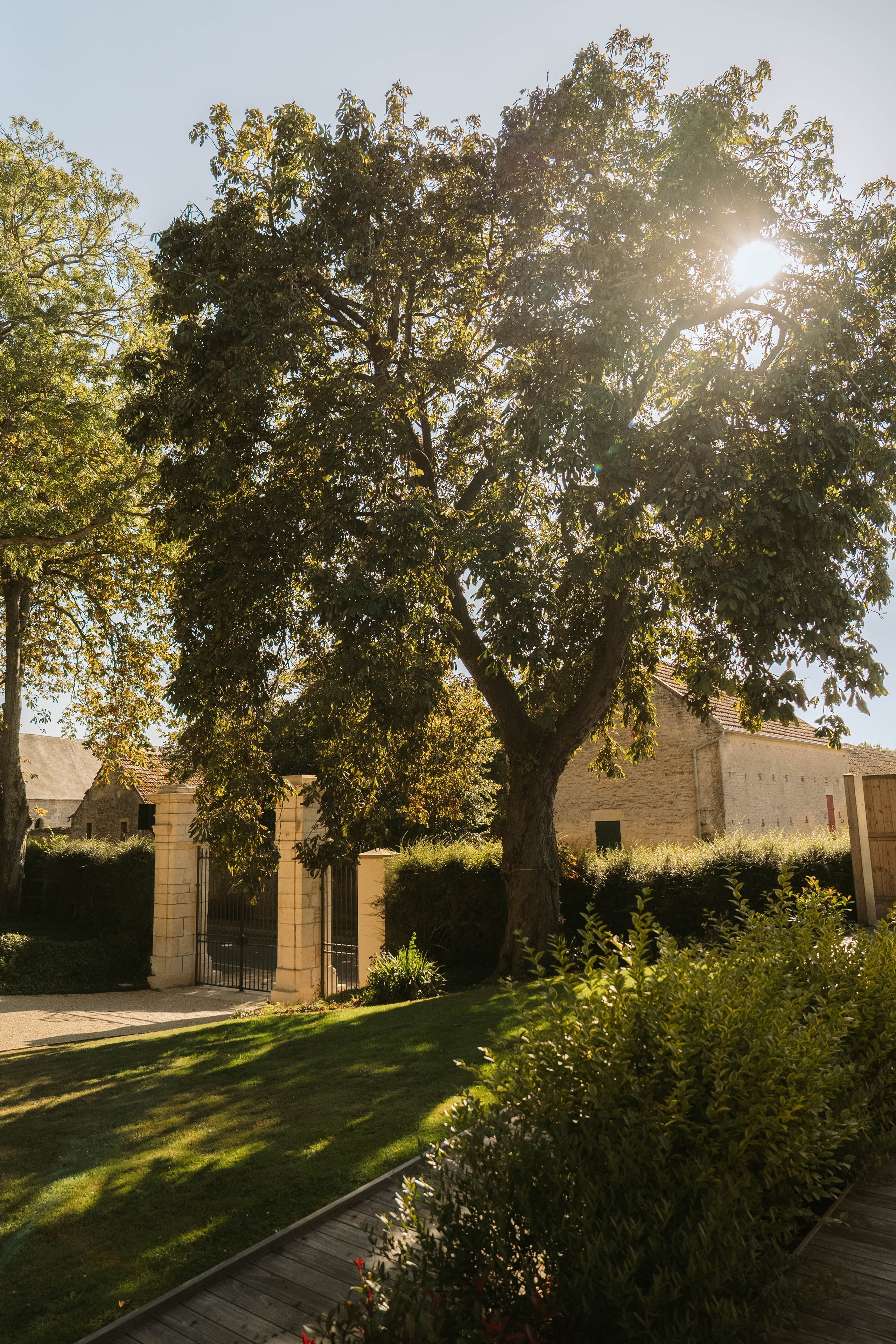 Hôtel Coeurmandie. Weeding photographer / event / portrait