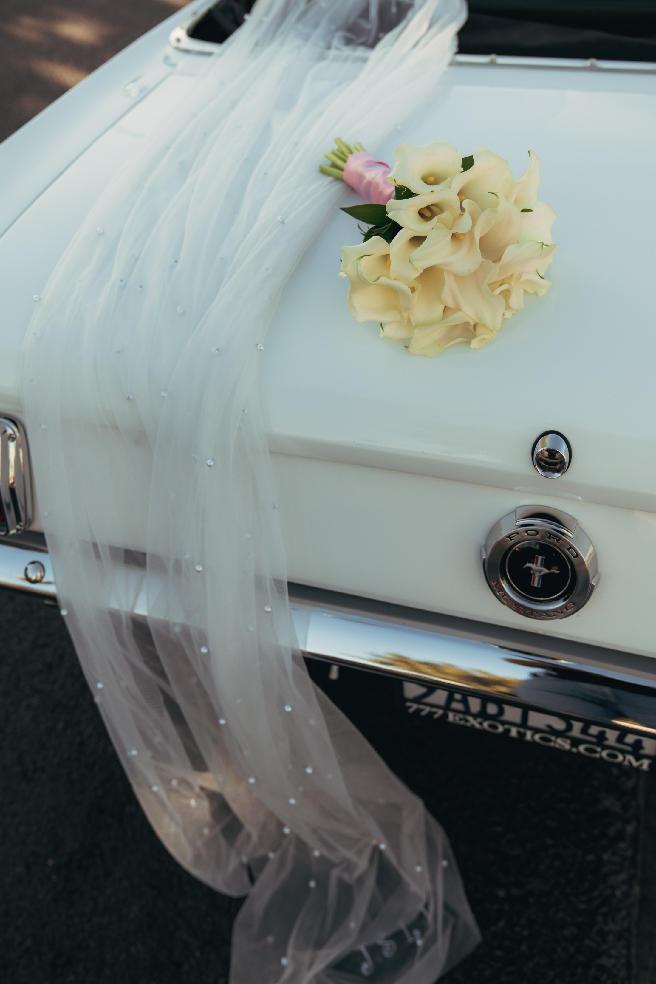 Steve&Dee. Wedding & elopement photographer Viktoriya Kravtsov. Las Vegas