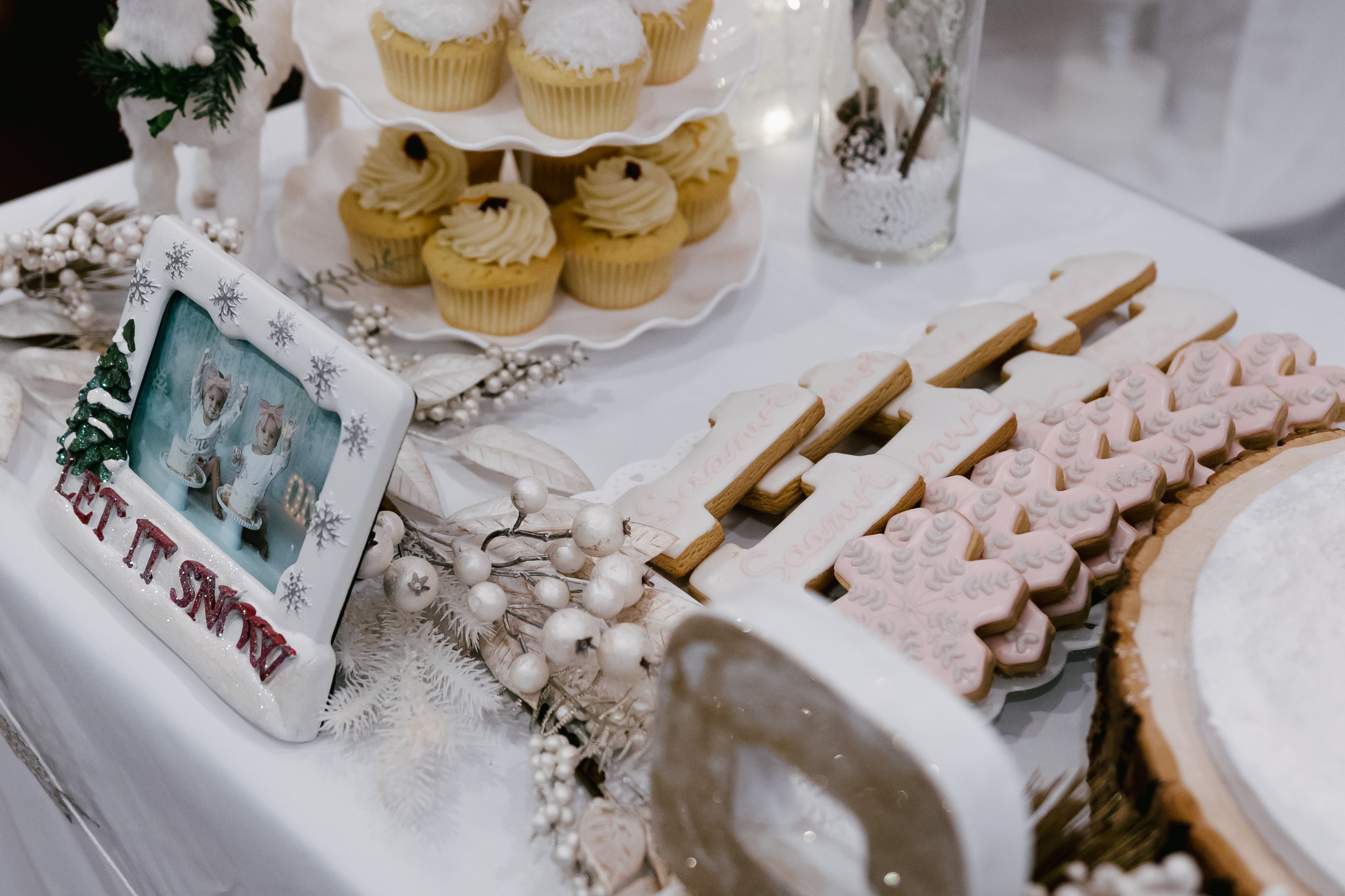 Twins Birthday. Sara Eulalia | Virginia Photographer